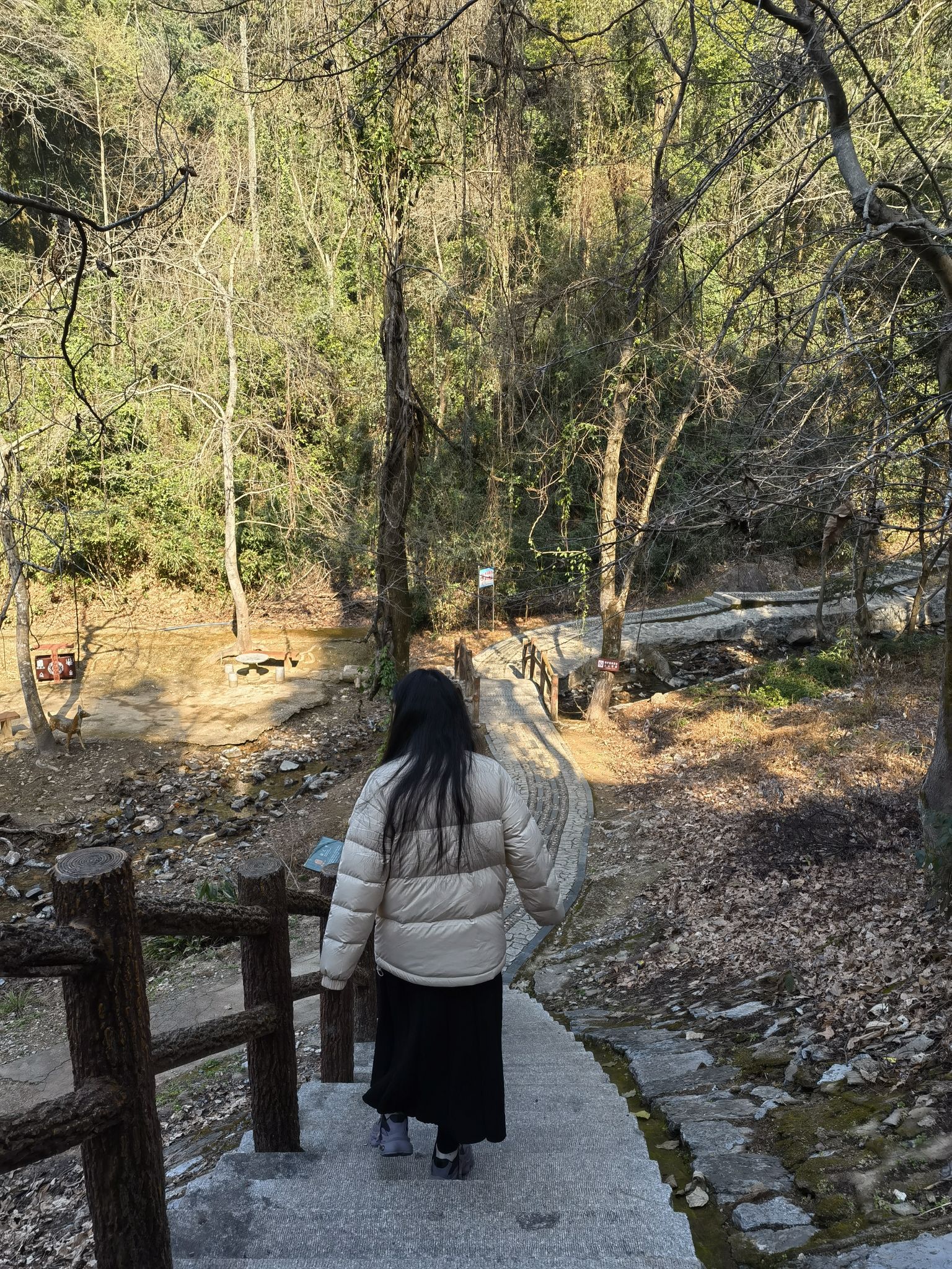 樟树阁皂山风景区旅行图片 1