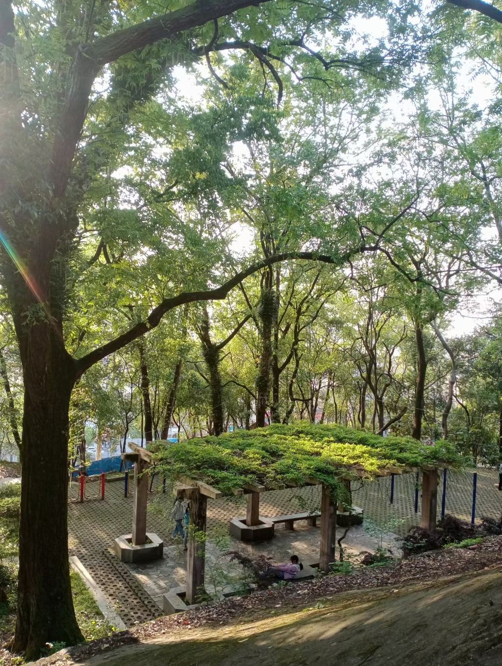 春台公园