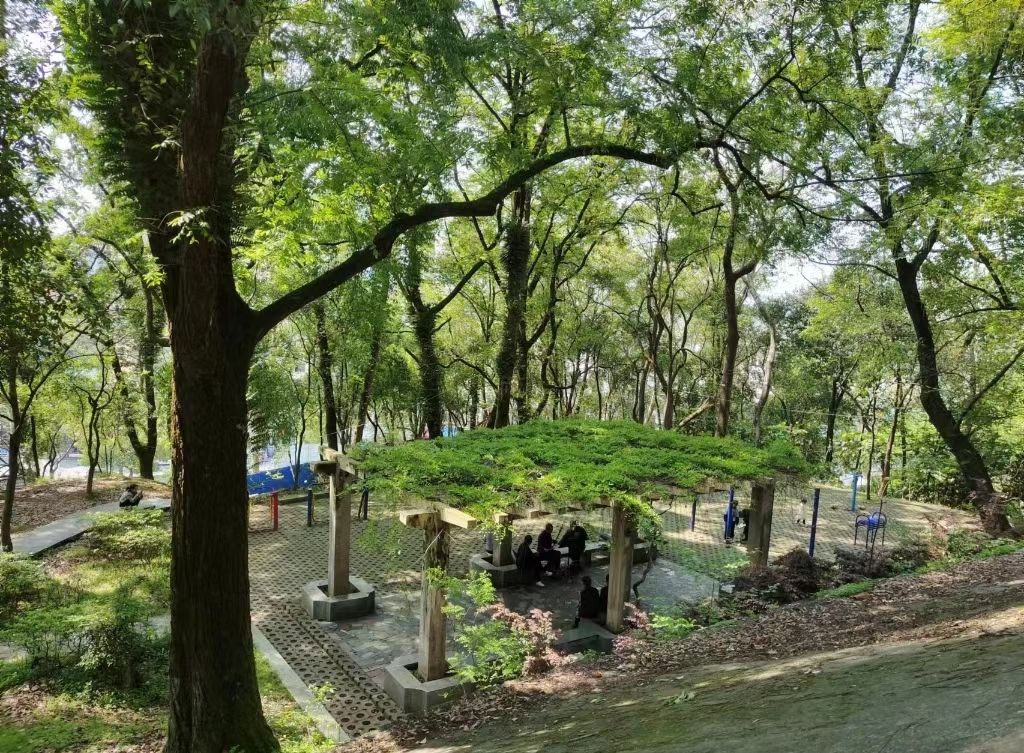 春台公园旅行图片 1
