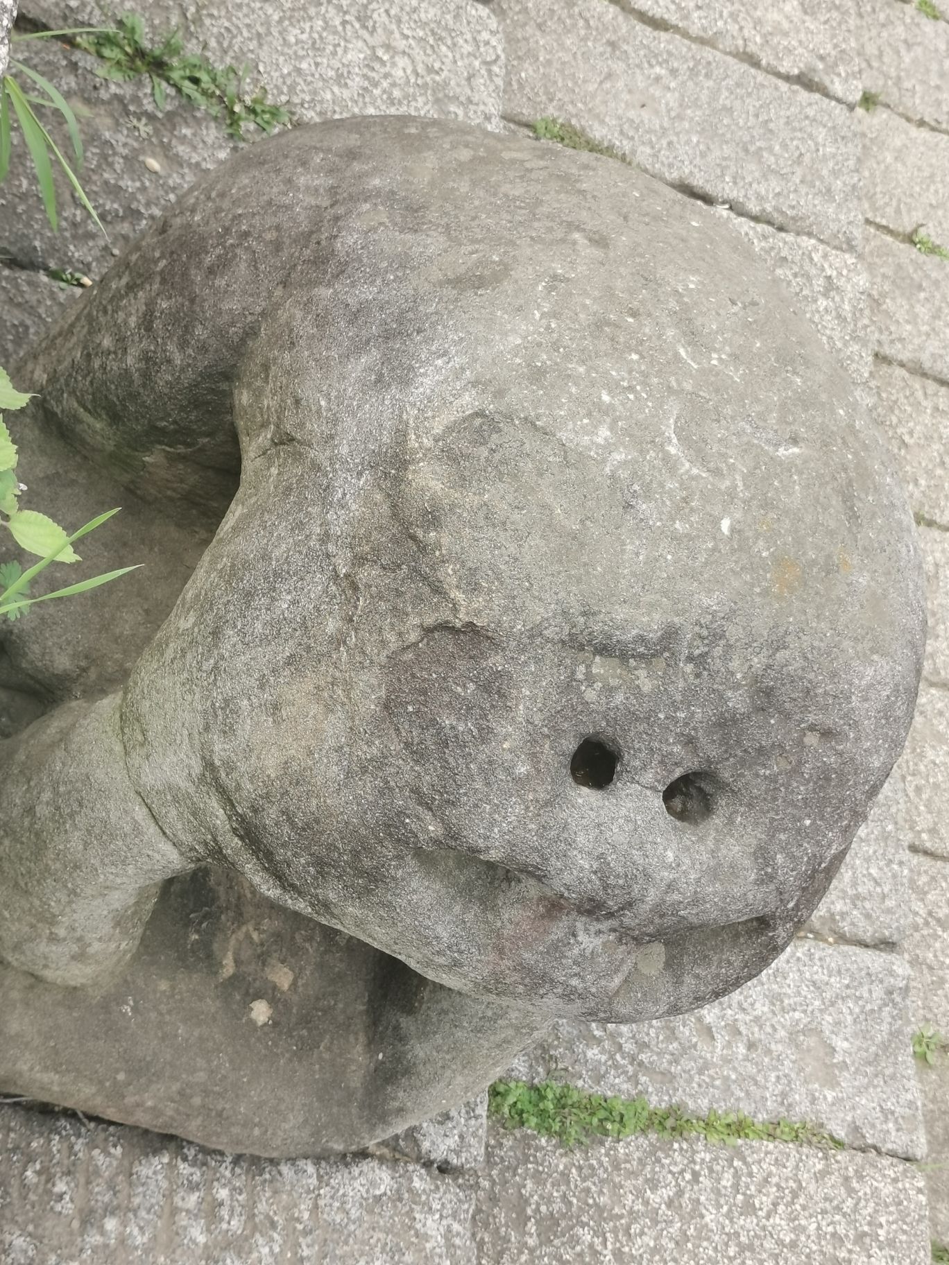 大观楼旅行图片 3