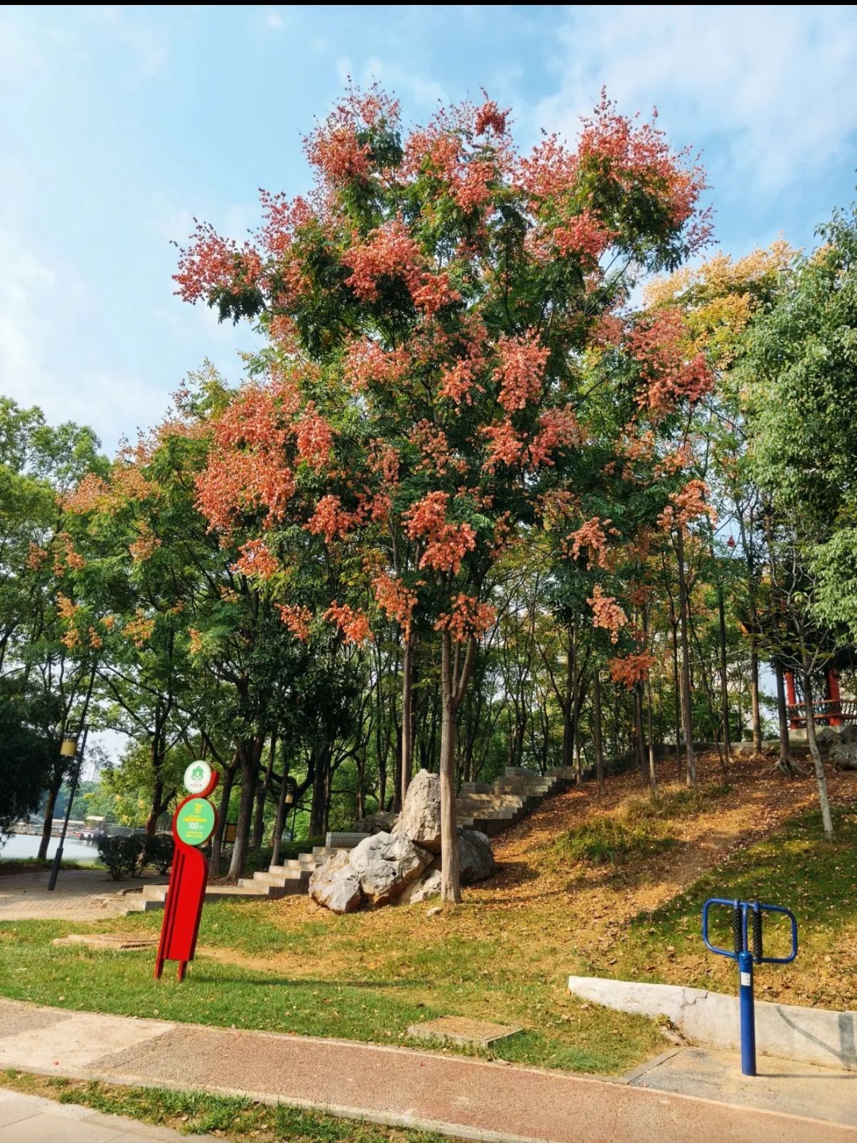 药都公园旅行图片 2