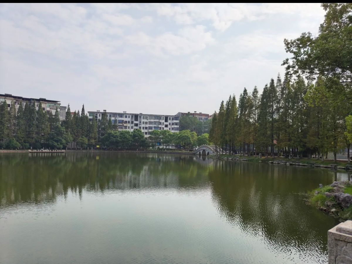 药都公园旅行图片 3