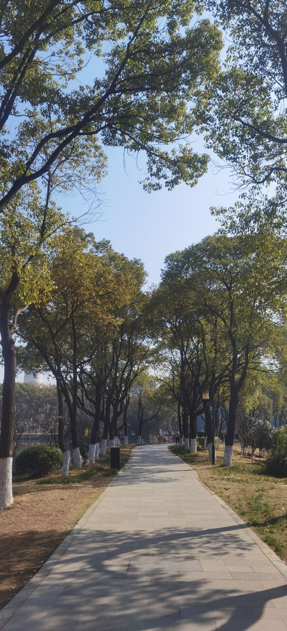 药都公园旅行图片 3