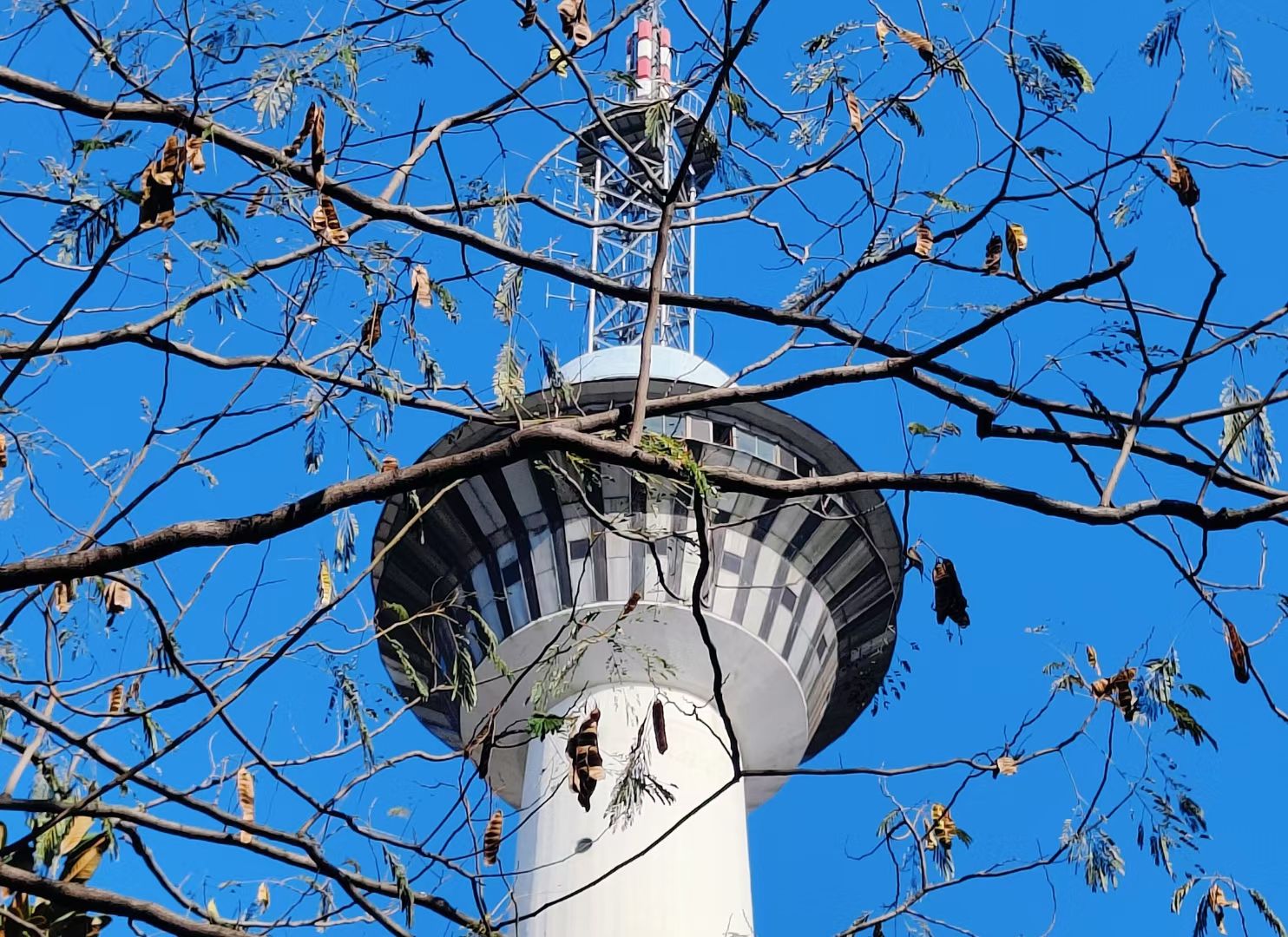 药都公园旅行图片 3