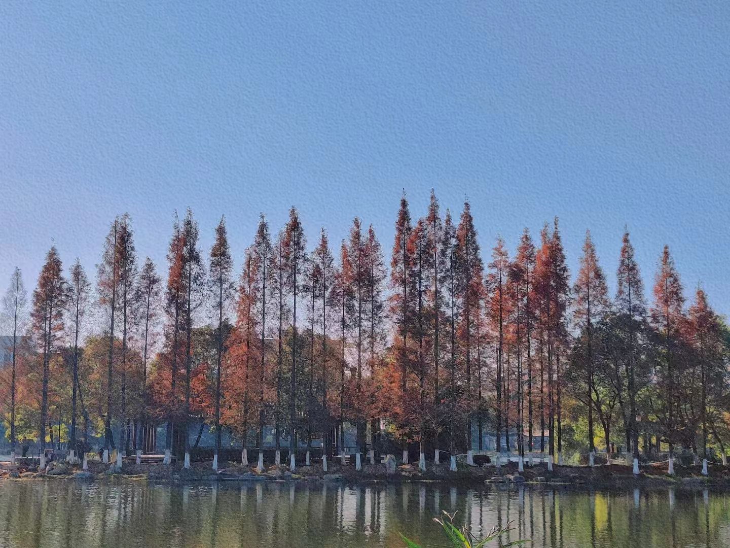药都公园旅行图片 2