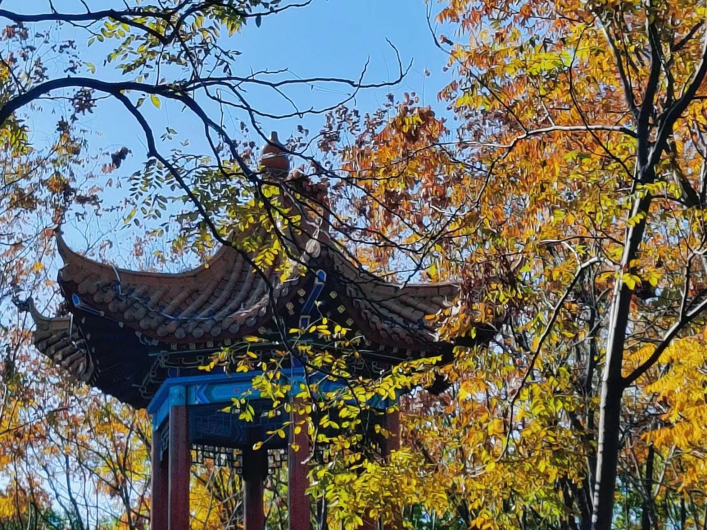 药都公园旅行图片 3