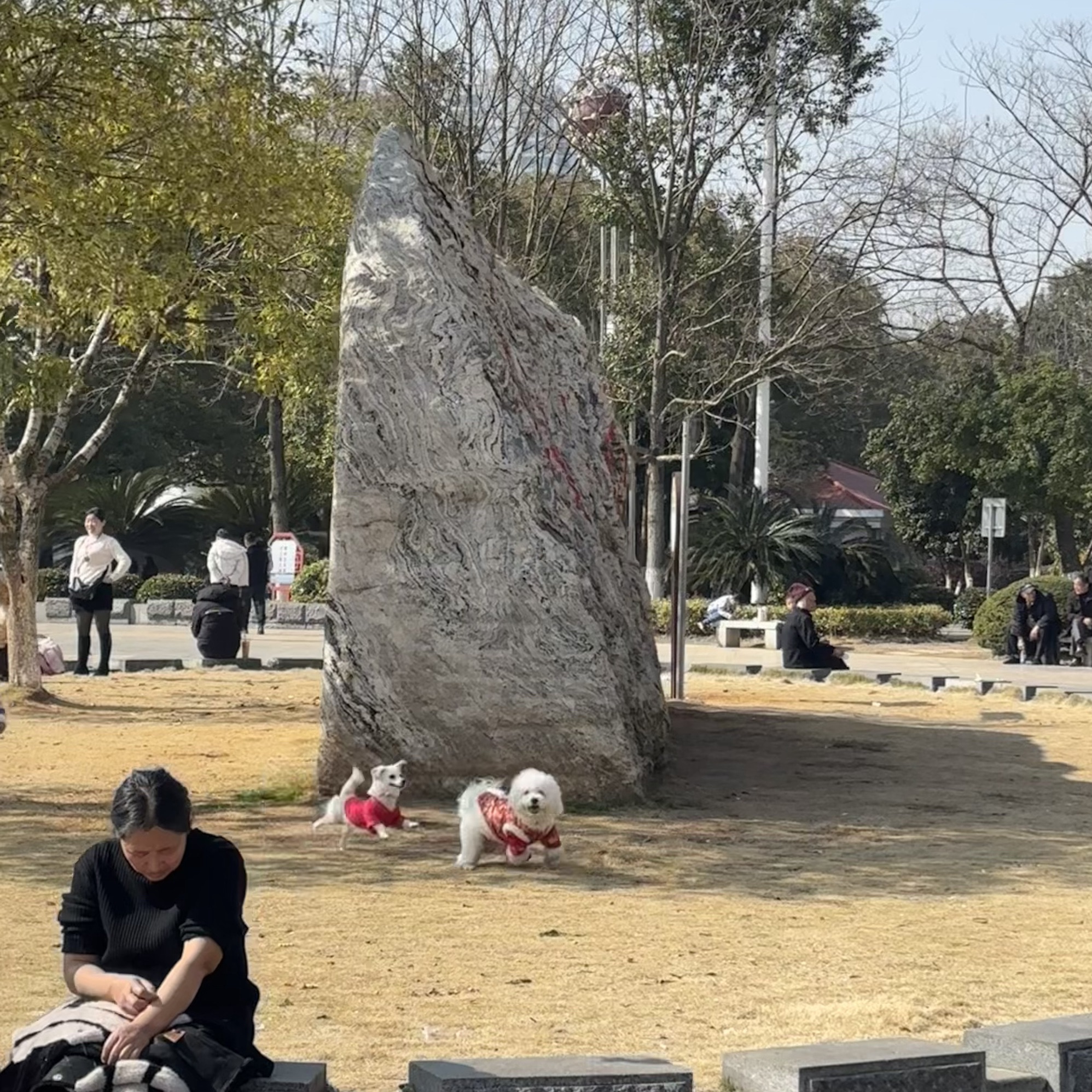 药都公园旅行图片 2