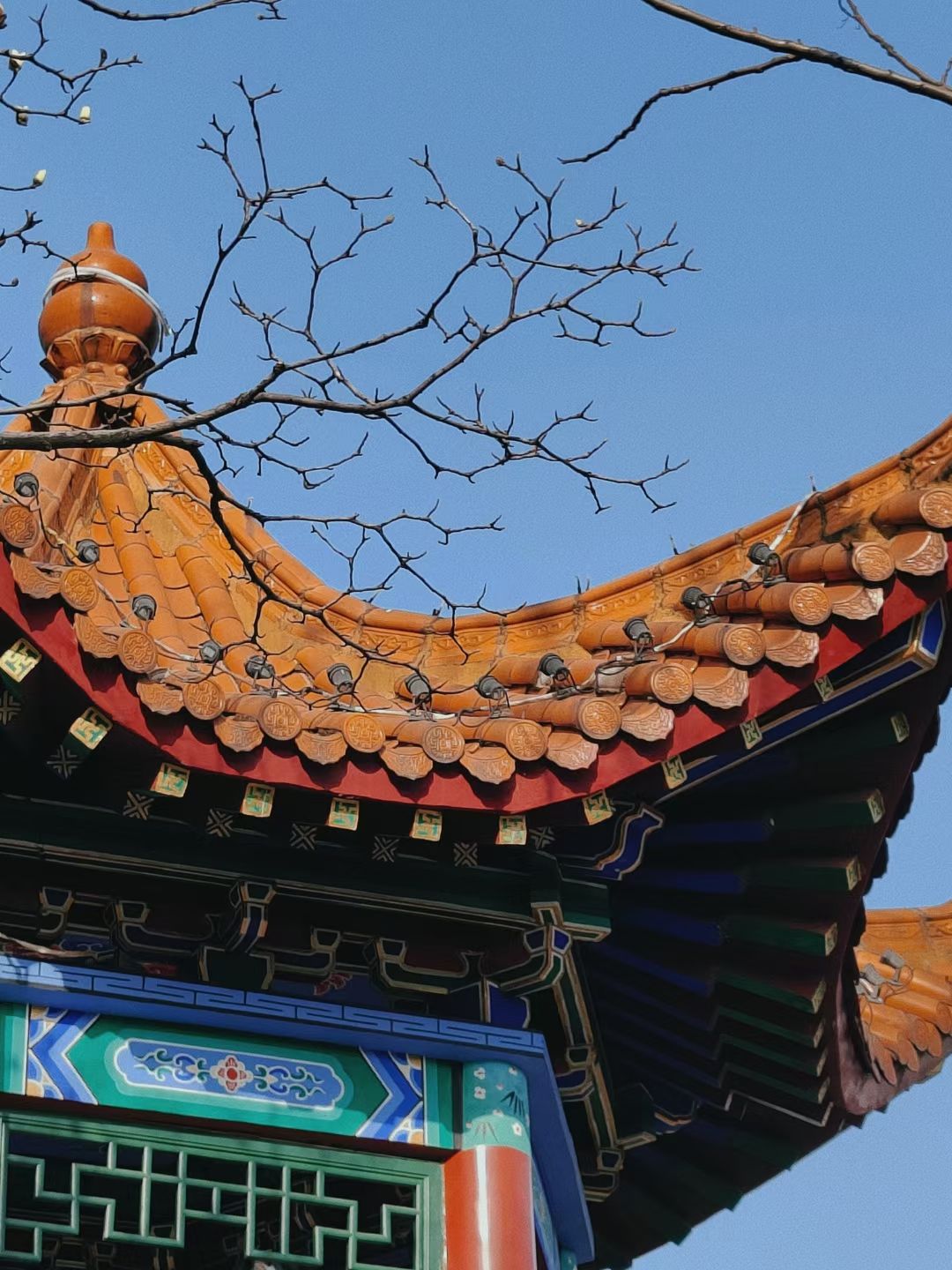 药都公园旅行图片 1