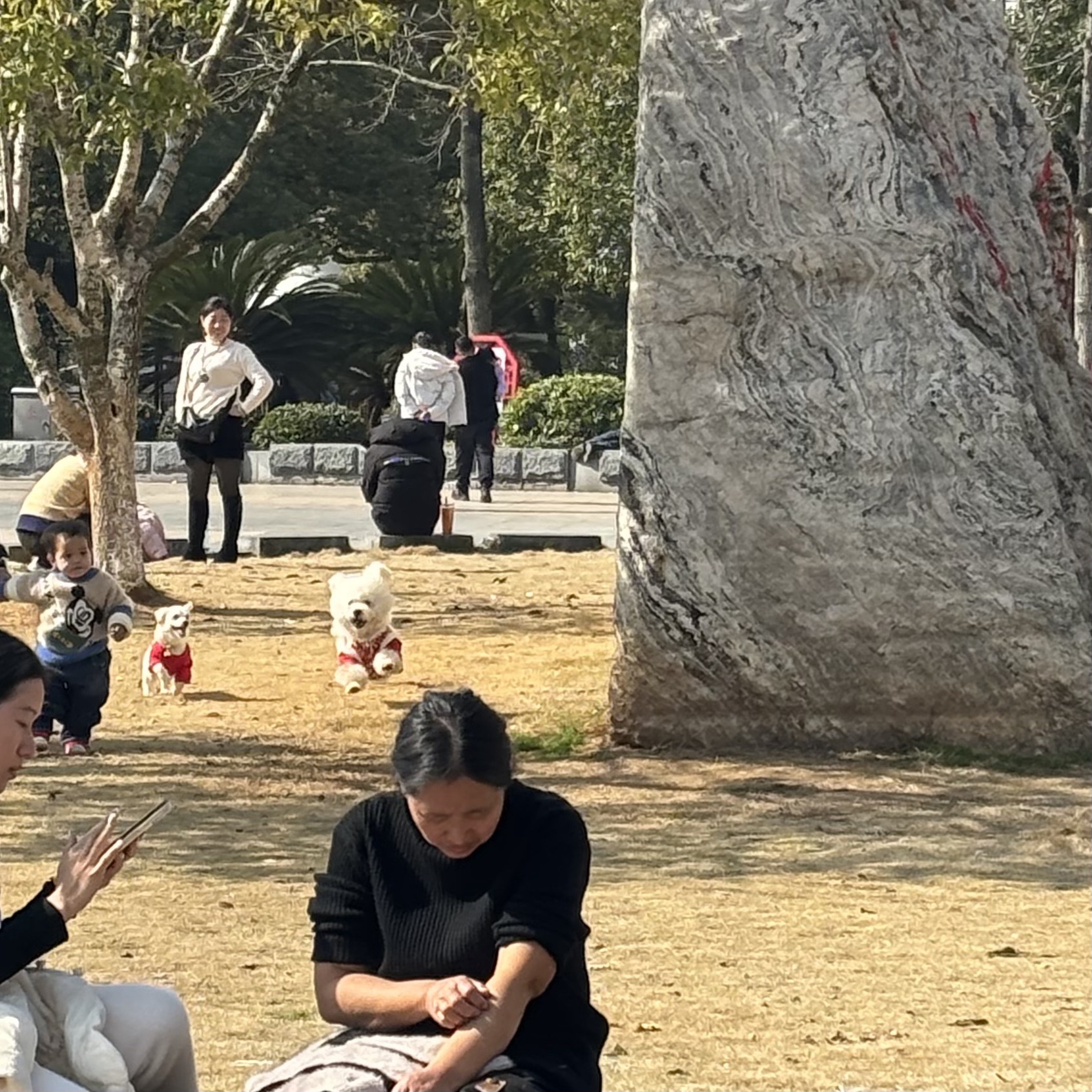 药都公园旅行图片 1