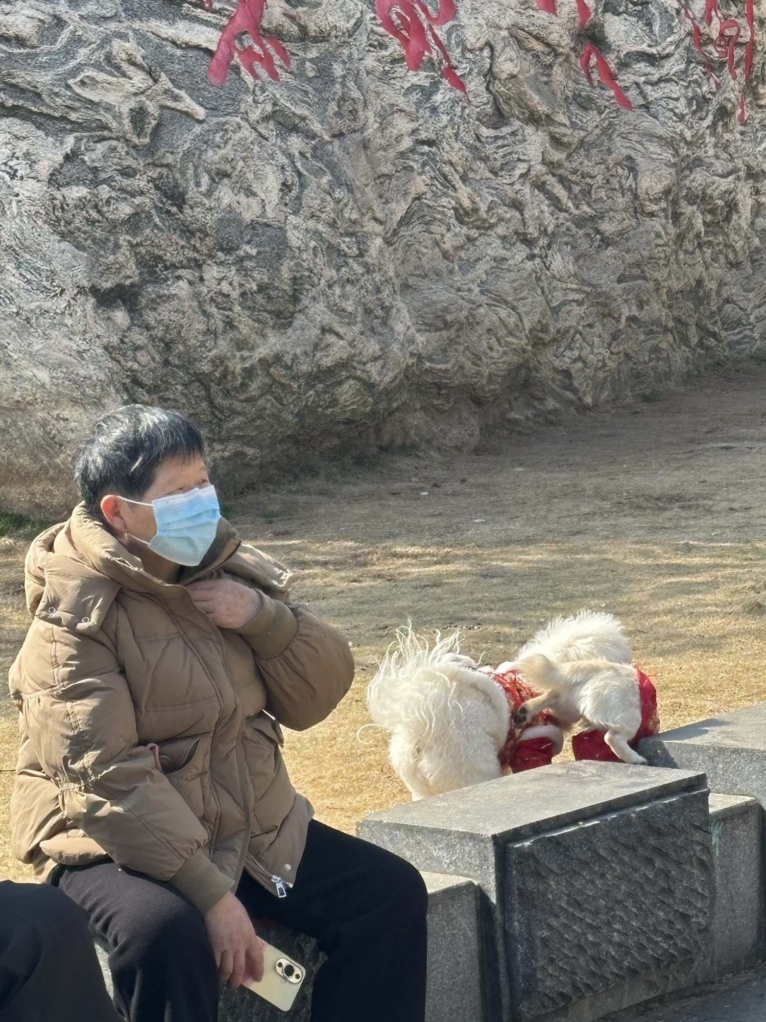 药都公园旅行图片 3
