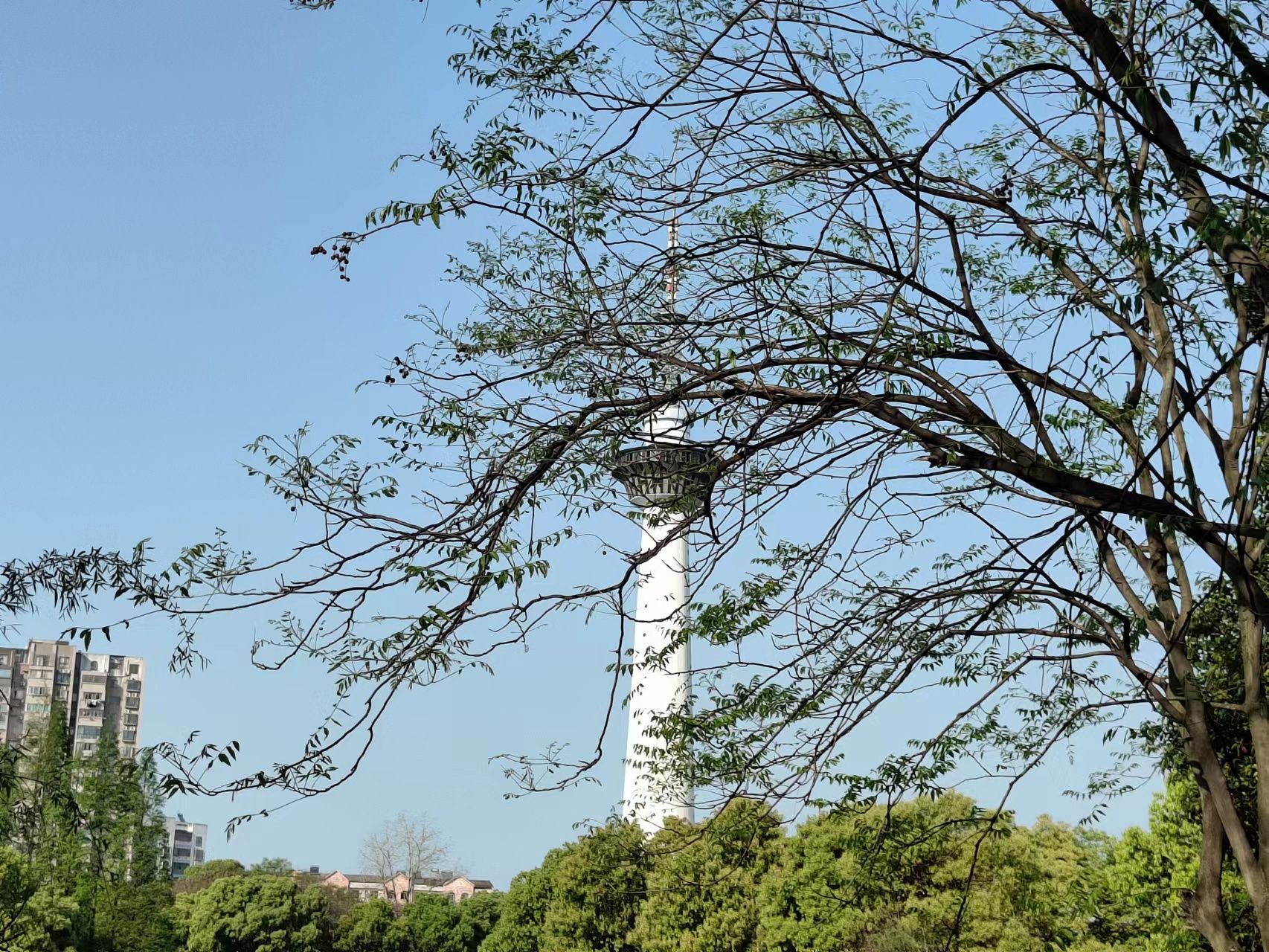 药都公园旅行图片 1