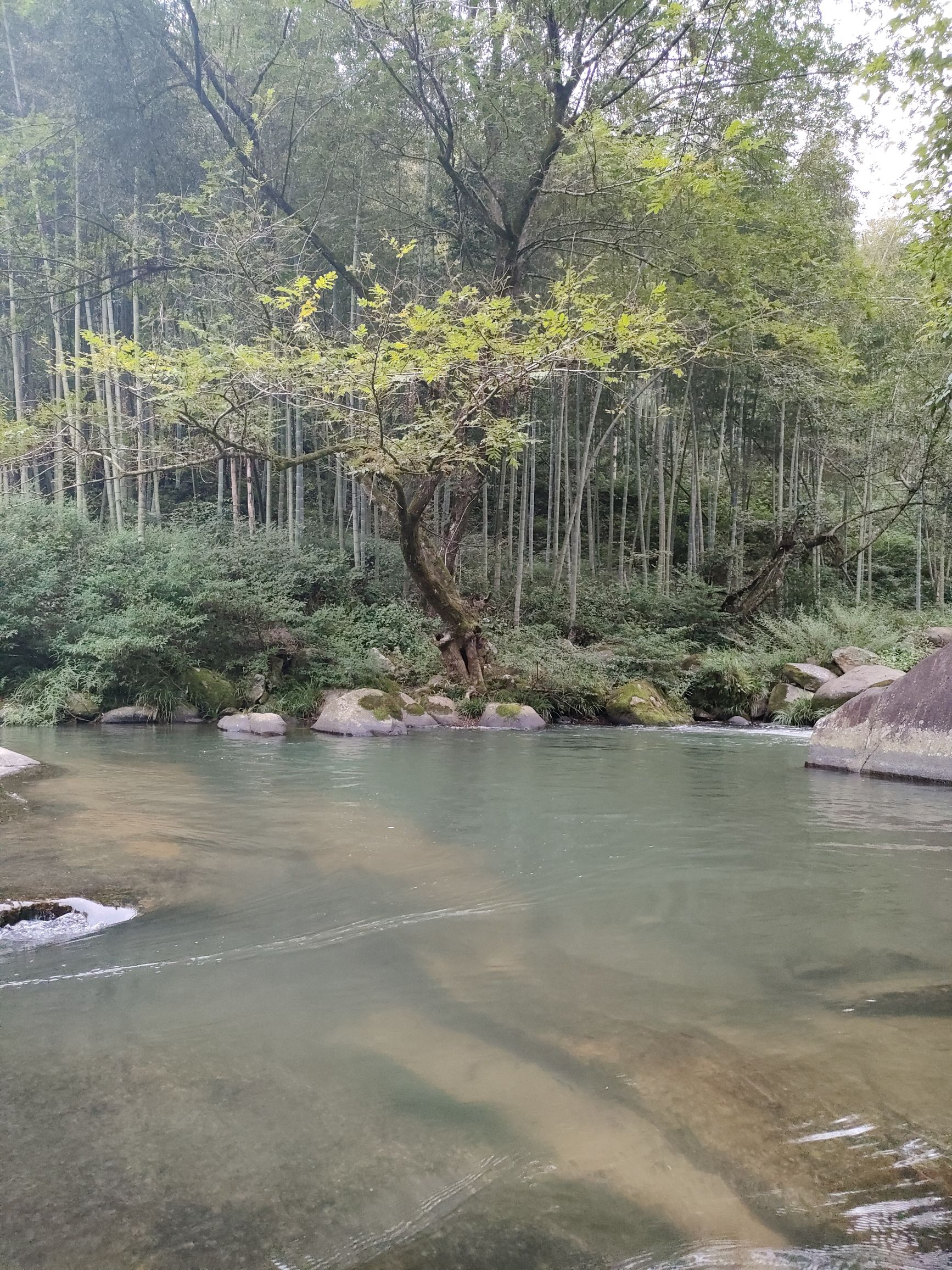 八仙飞瀑潭景区-萝卜潭旅行图片 3