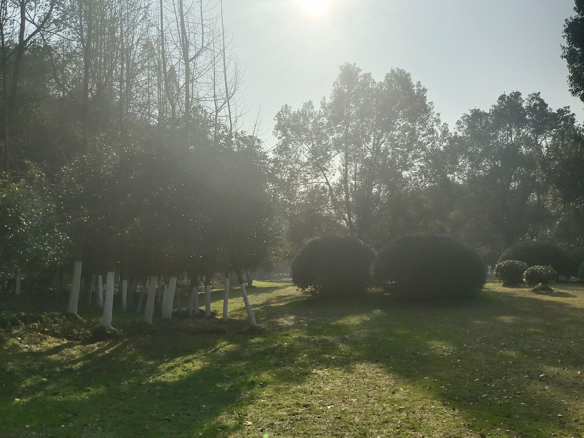 化成岩森林公园旅行图片 2