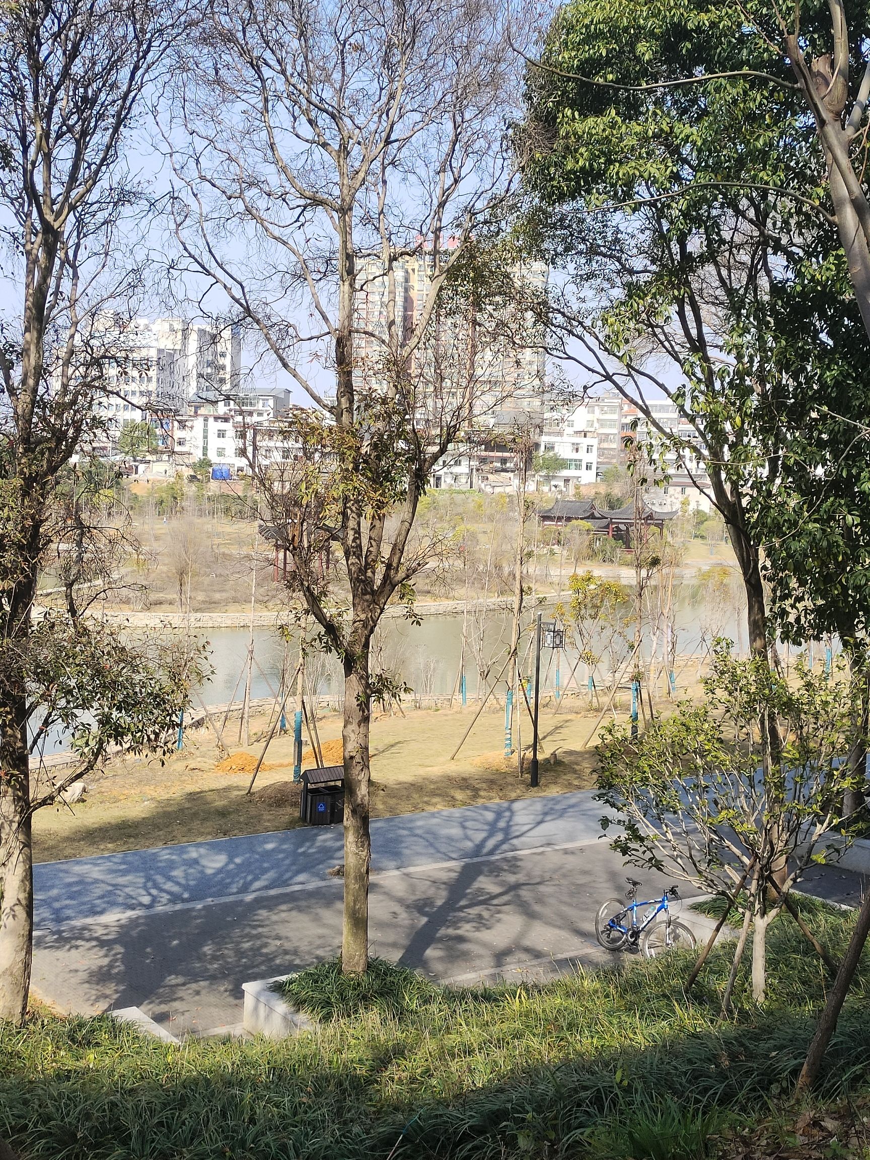 化成岩森林公园旅行图片 2