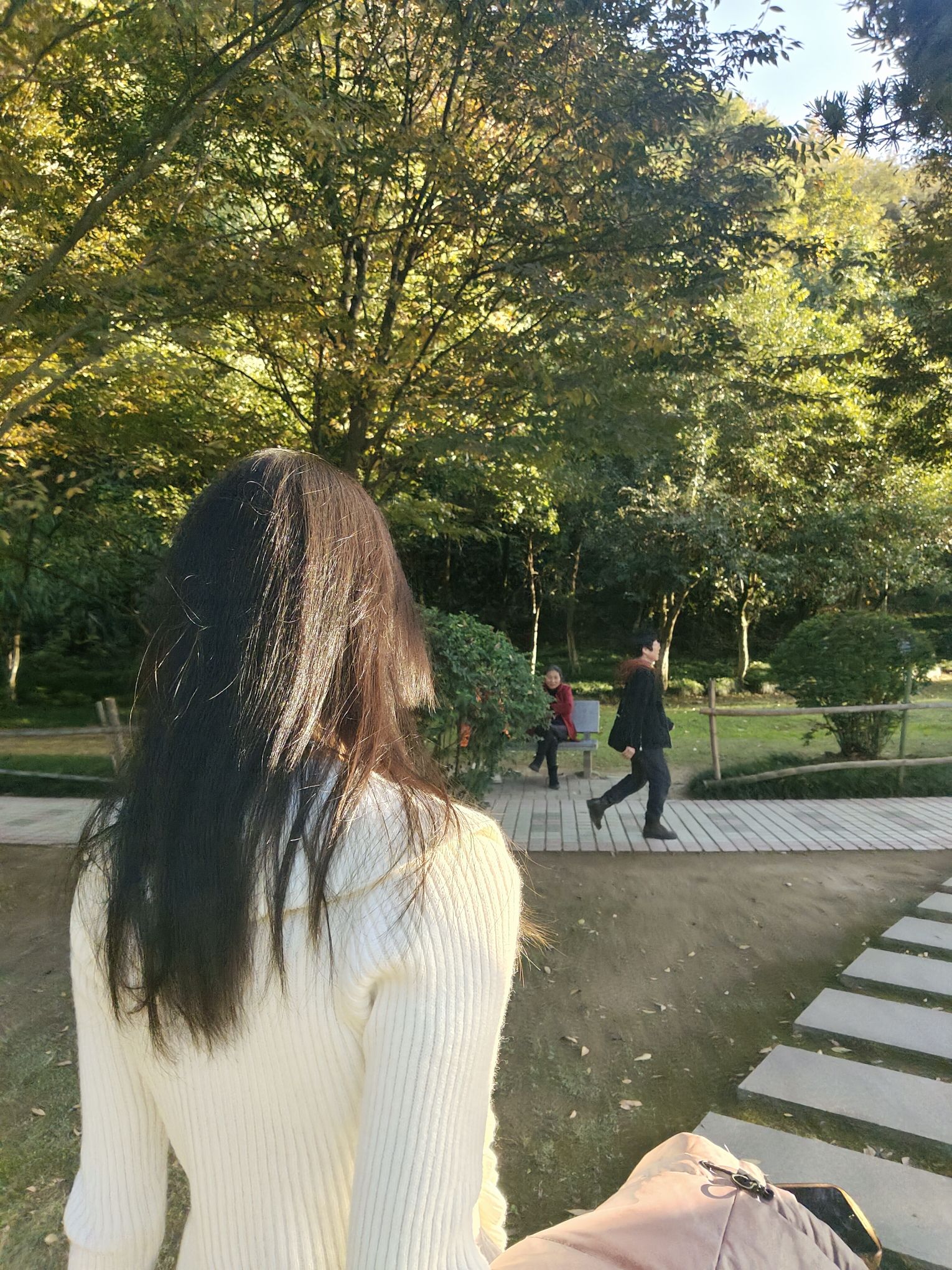 化成岩森林公园旅行图片 3