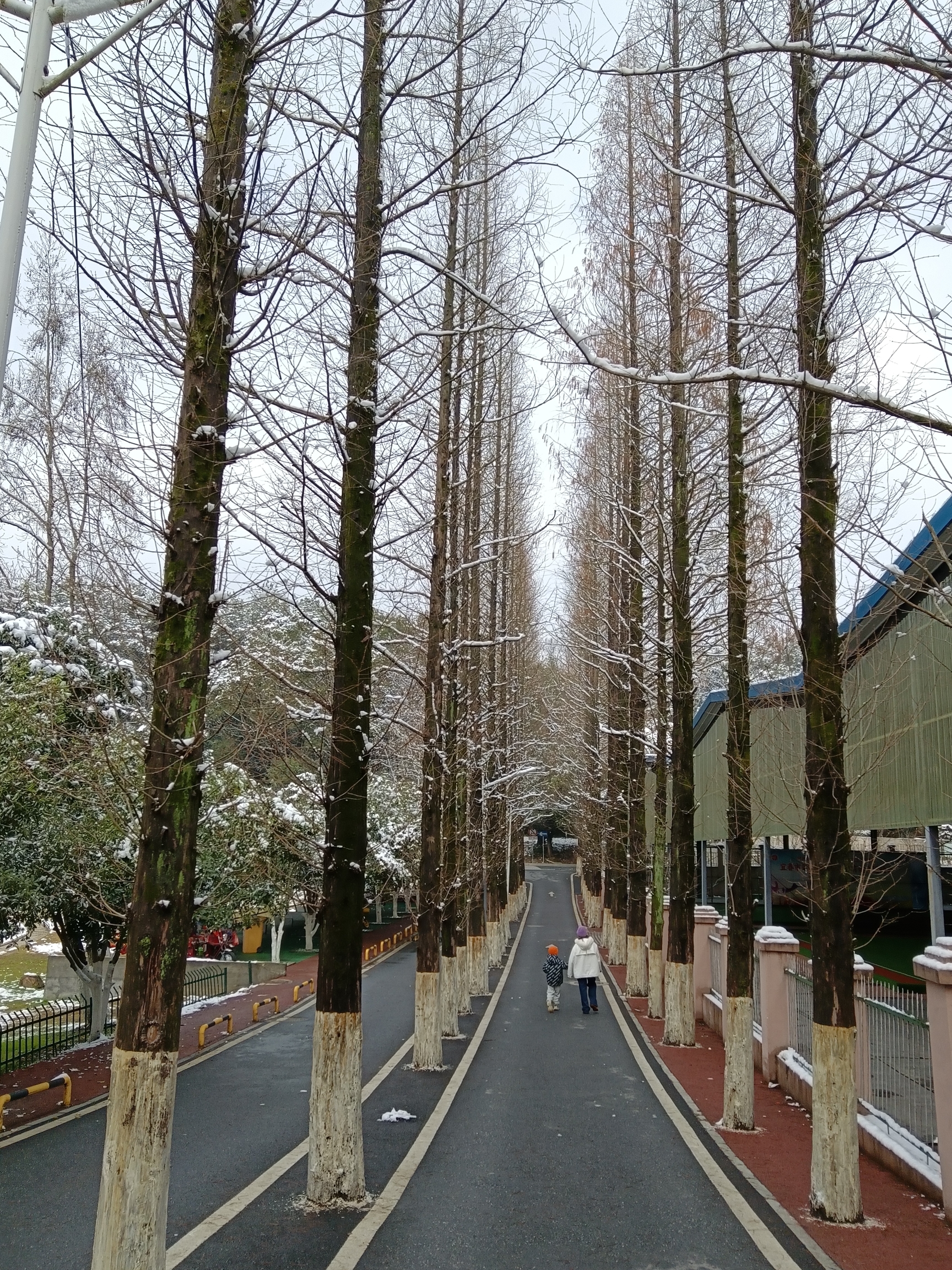 化成岩森林公园旅行图片 2
