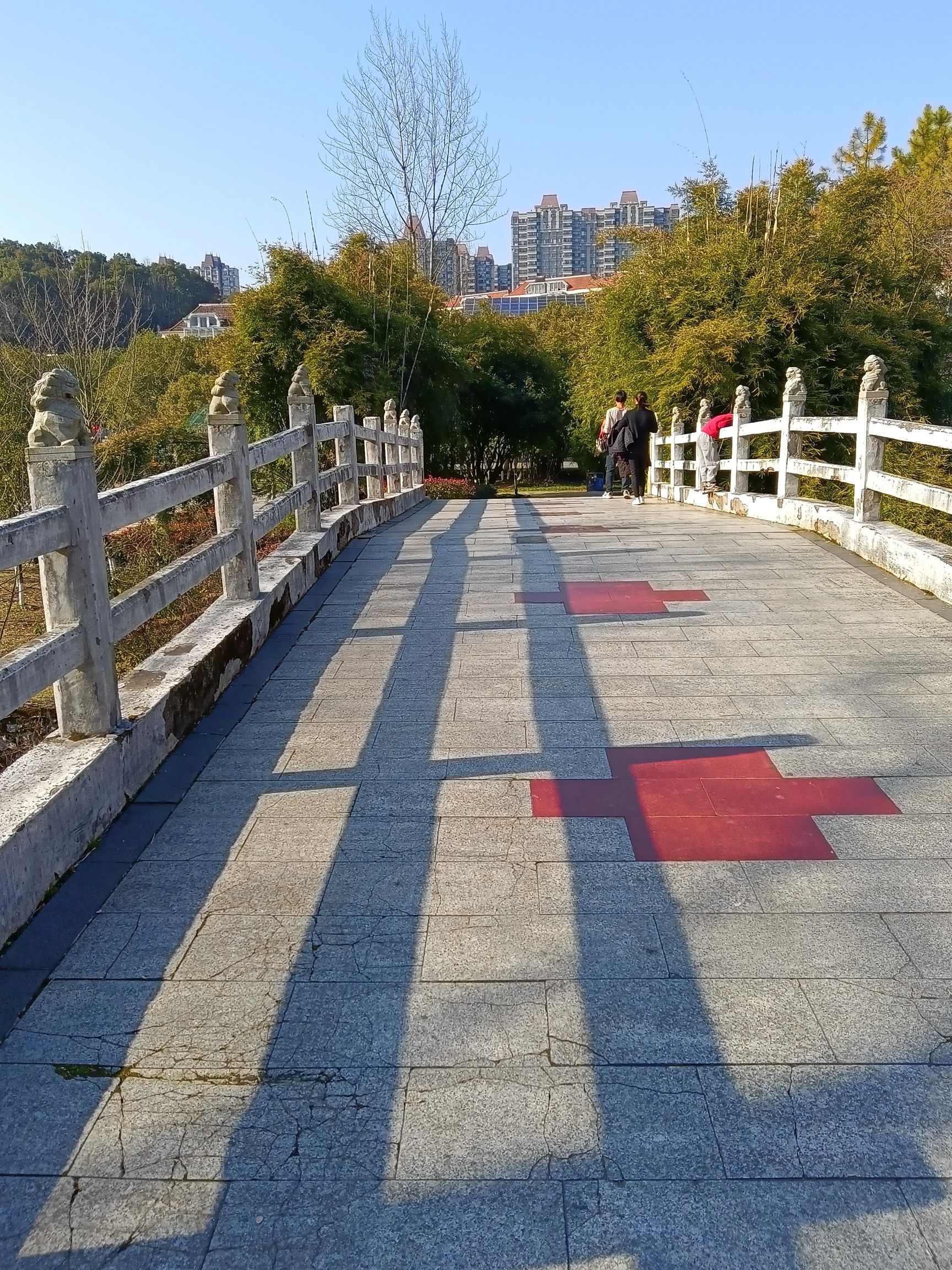 化成洲湿地公园旅行图片 2