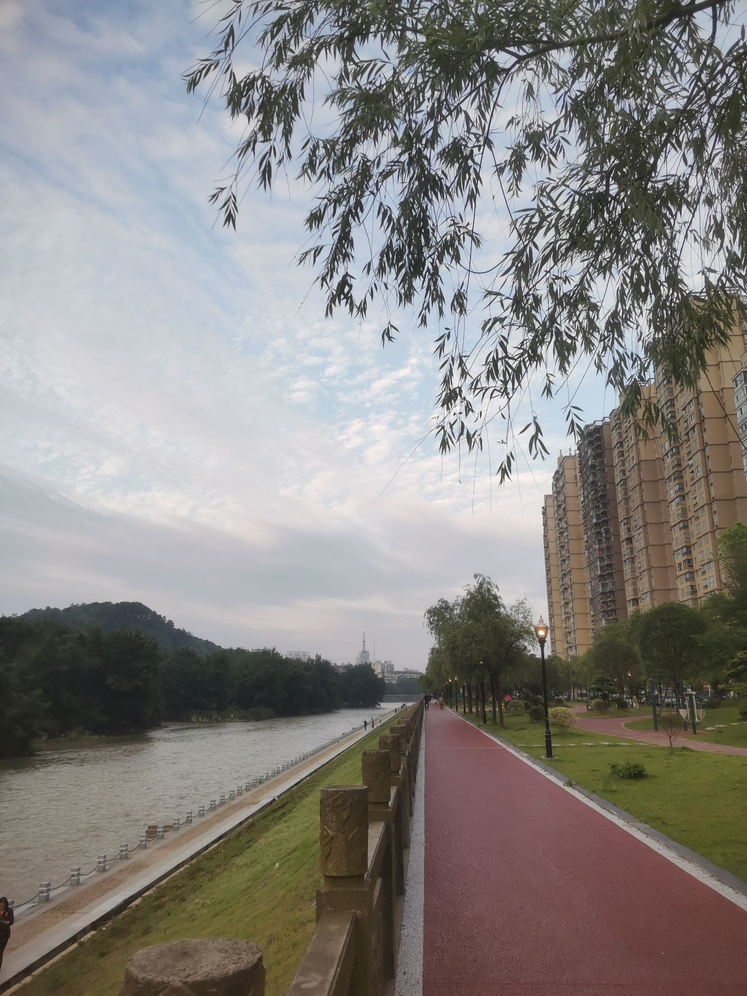 化成洲湿地公园旅行图片 3