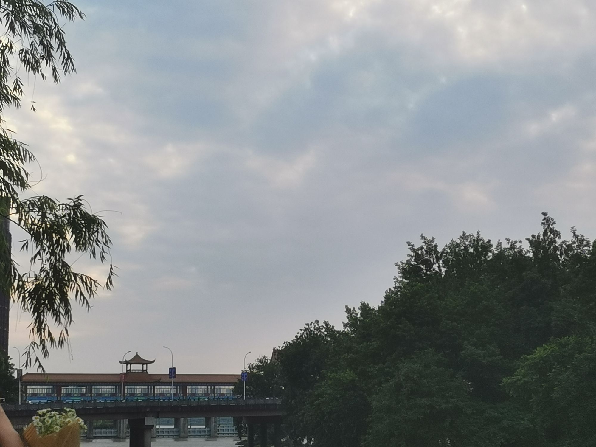 化成洲湿地公园旅行图片 2