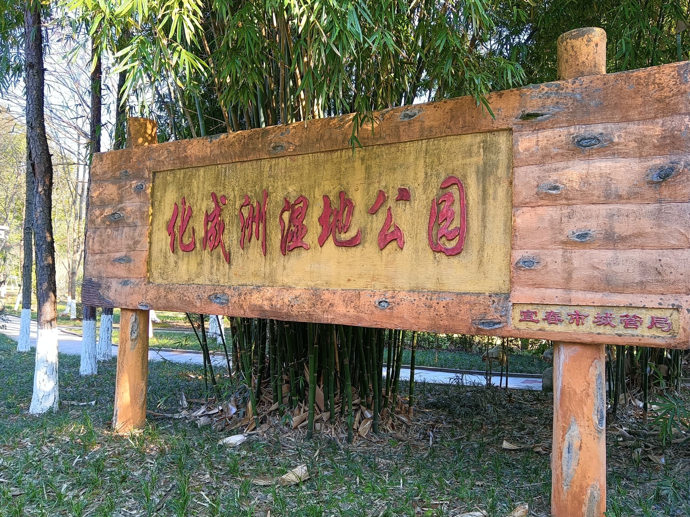 化成洲湿地公园旅行图片 1