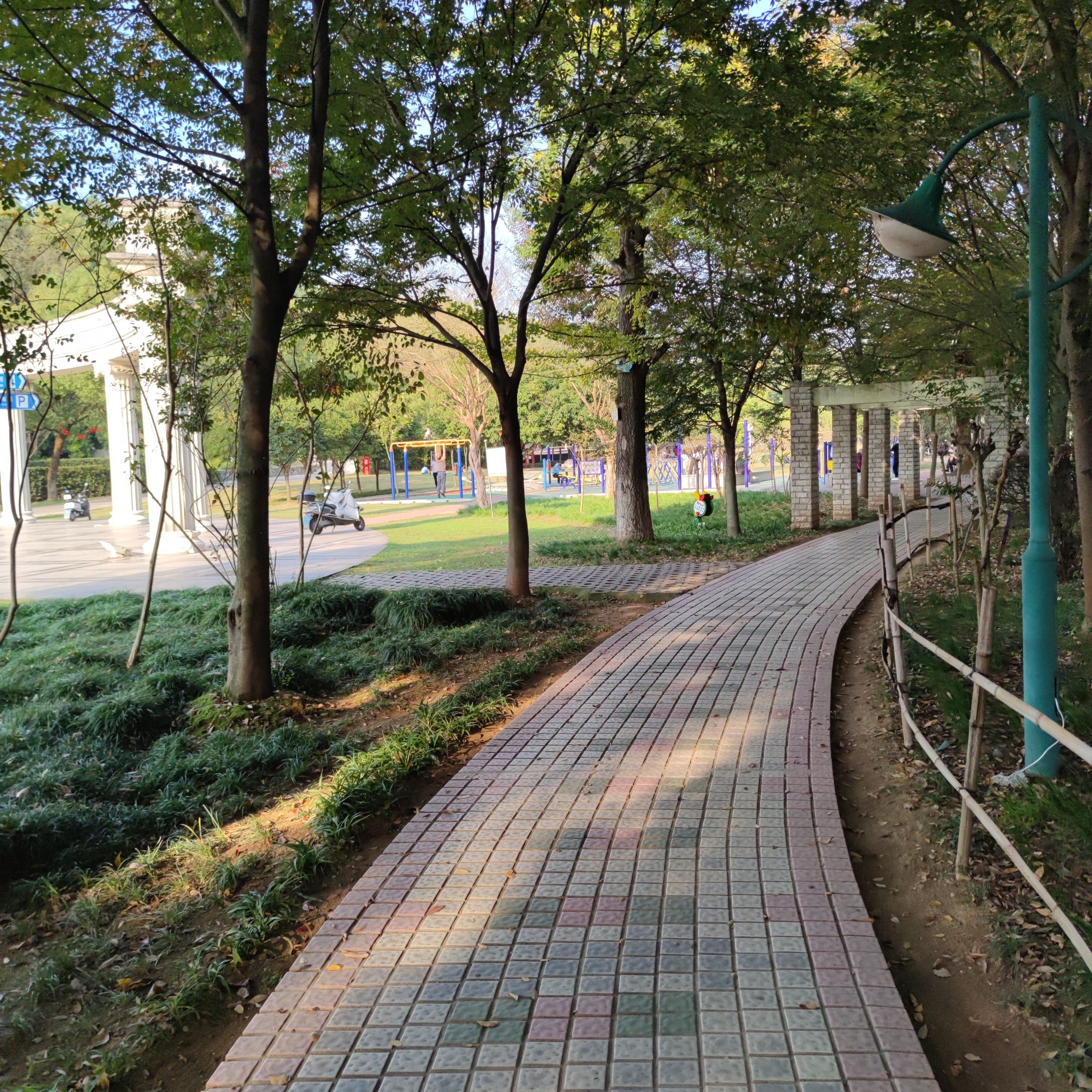 化成洲湿地公园旅行图片 2