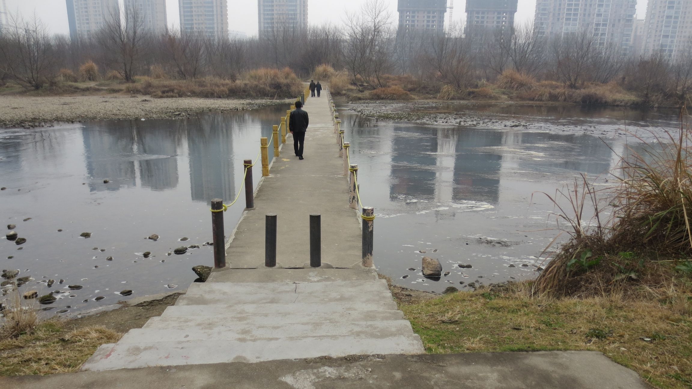 化成洲湿地公园旅行图片 1