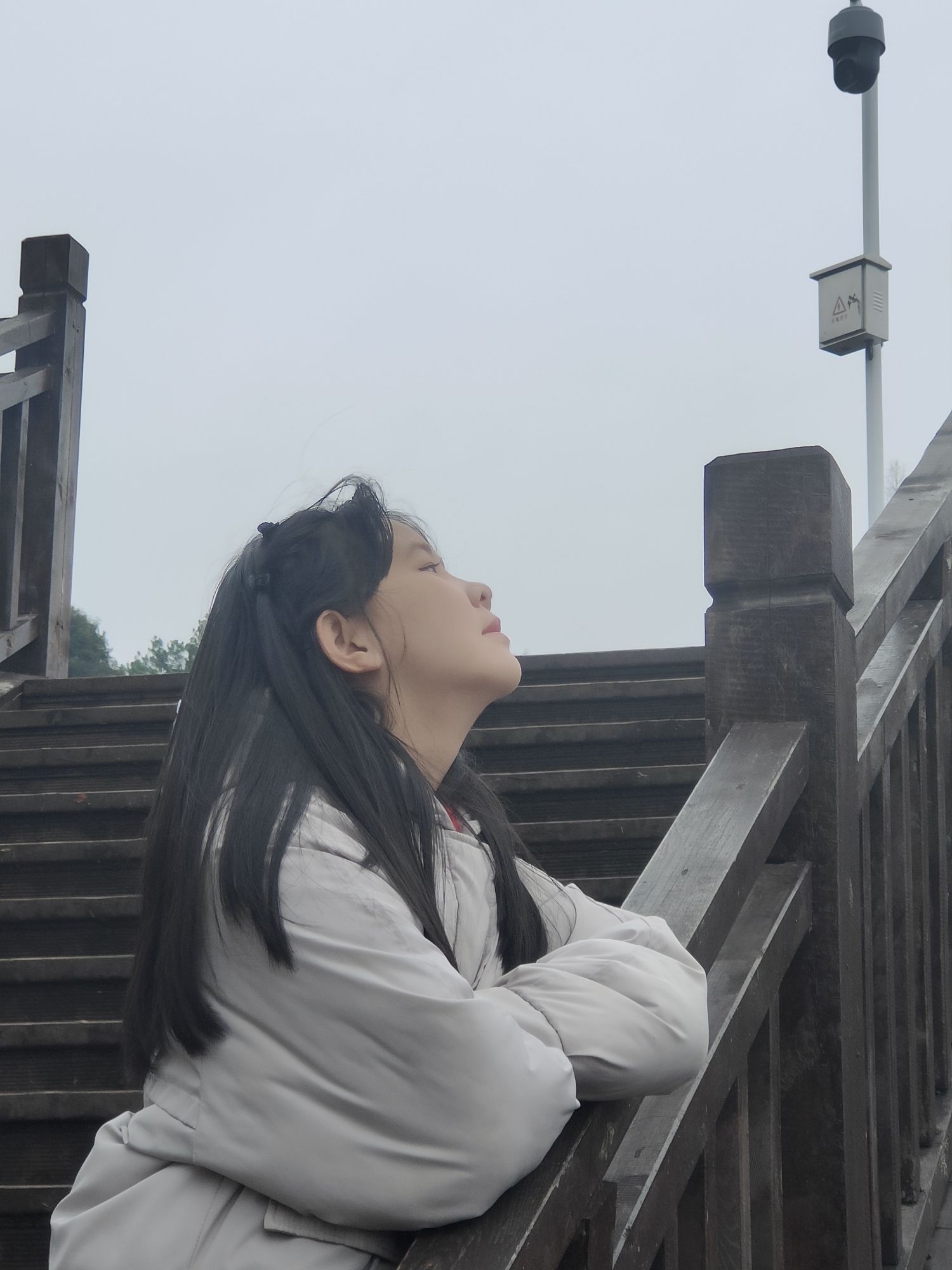 南屏公园旅行图片 2