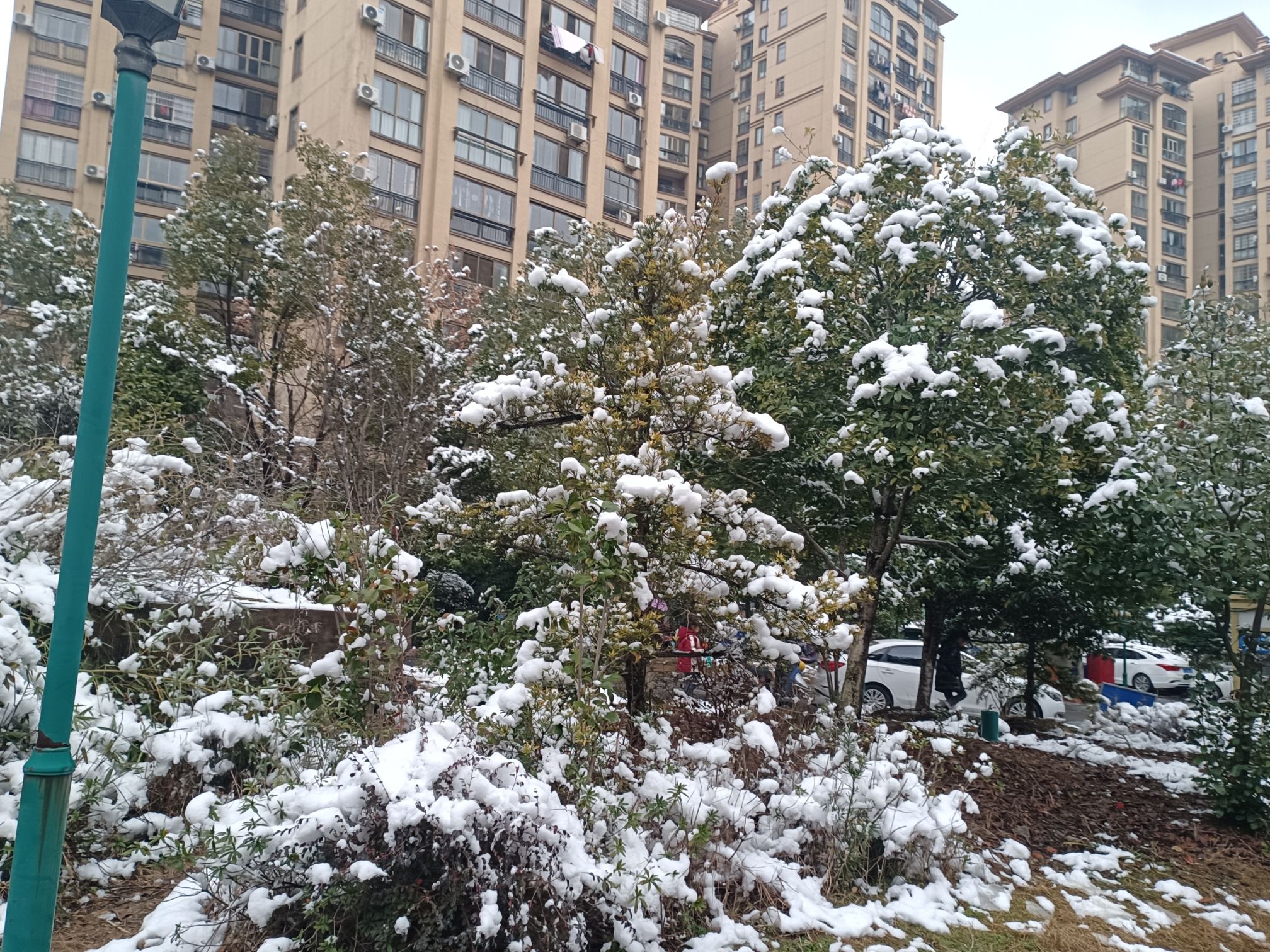 迎宾公园旅行图片 1