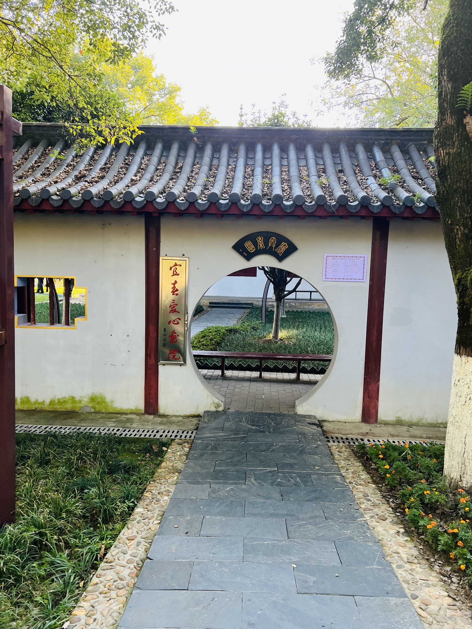 状元洲公园旅行图片 2