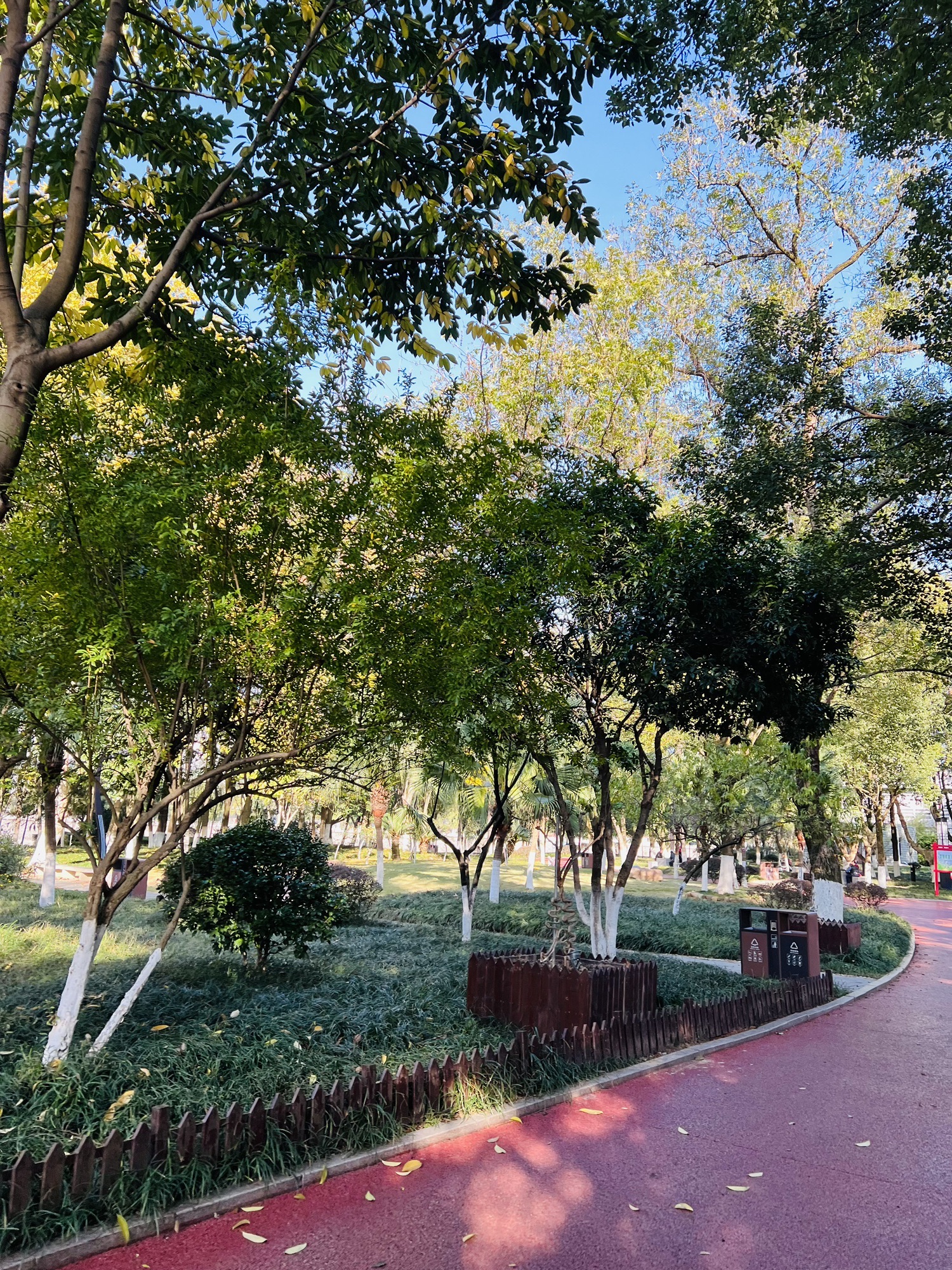 状元洲公园旅行图片 1
