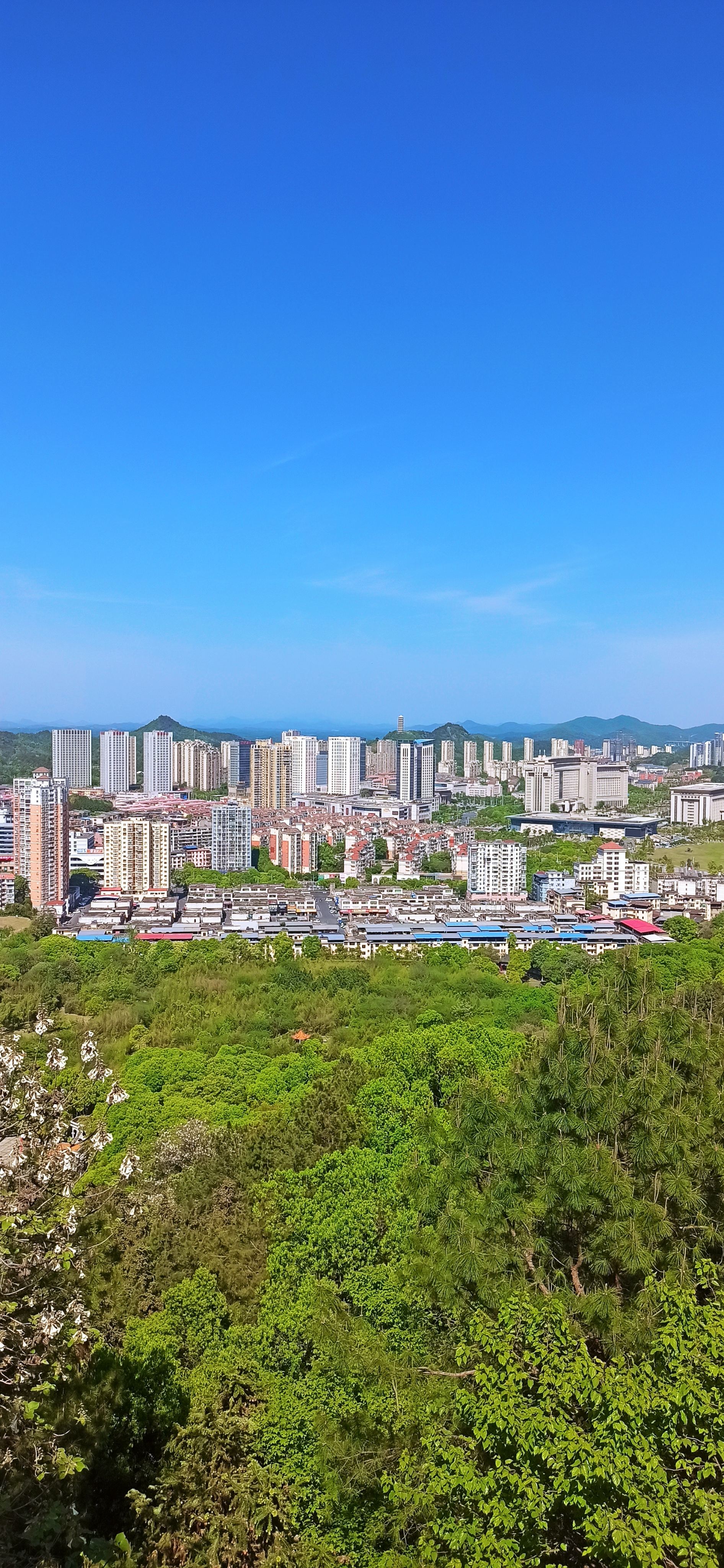 状元洲公园旅行图片 2