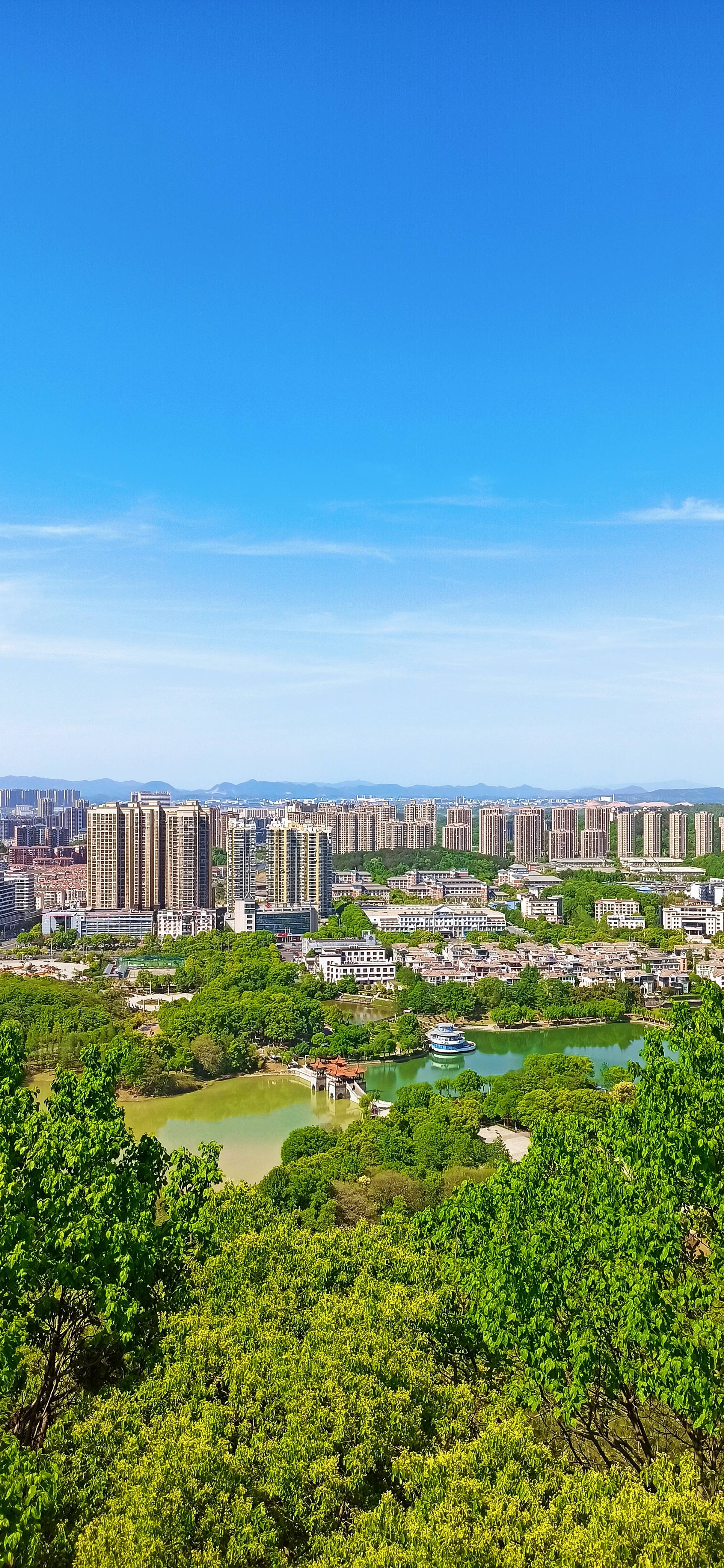 状元洲公园旅行图片 1