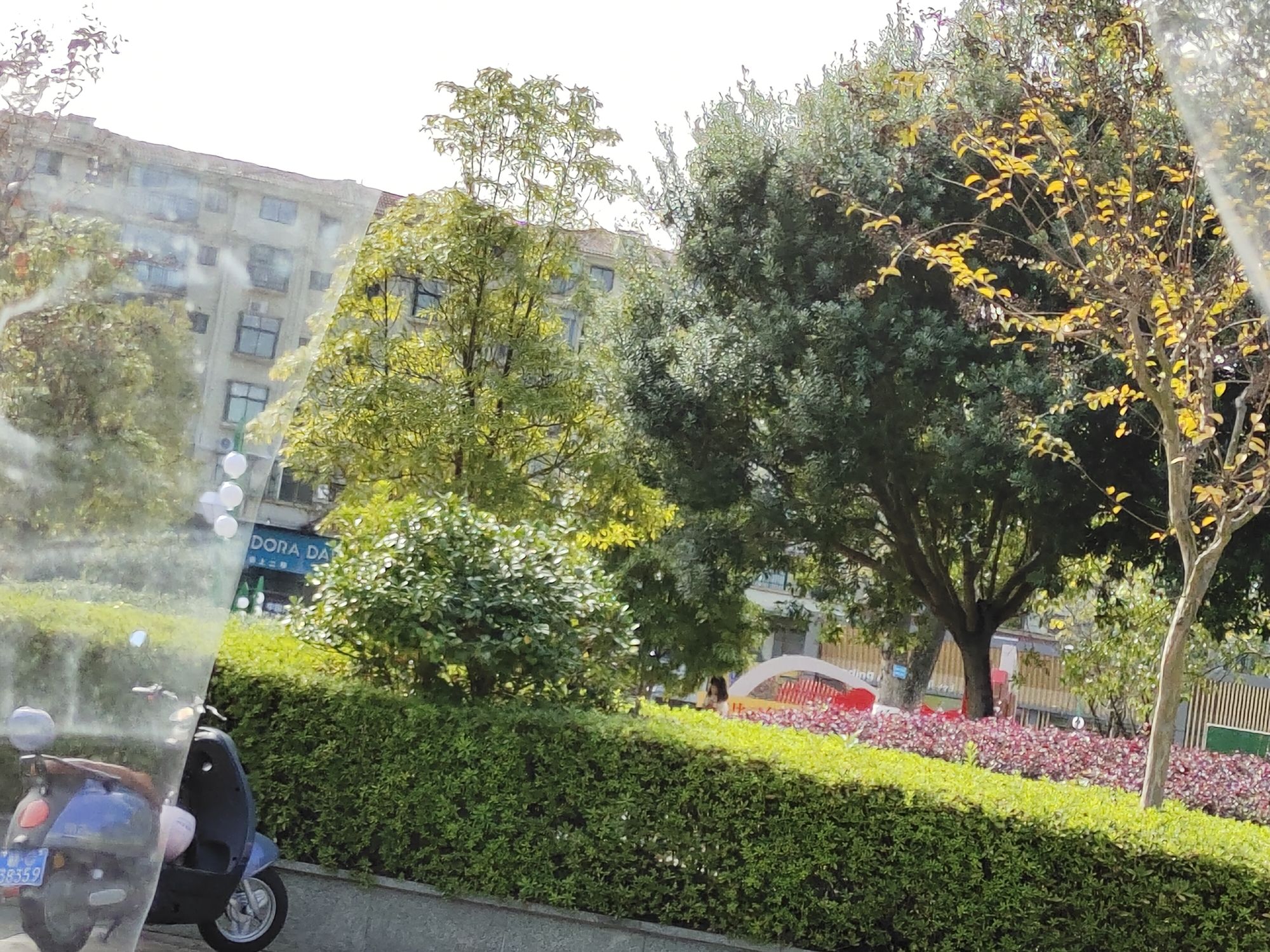 东门文化广场旅行图片 3