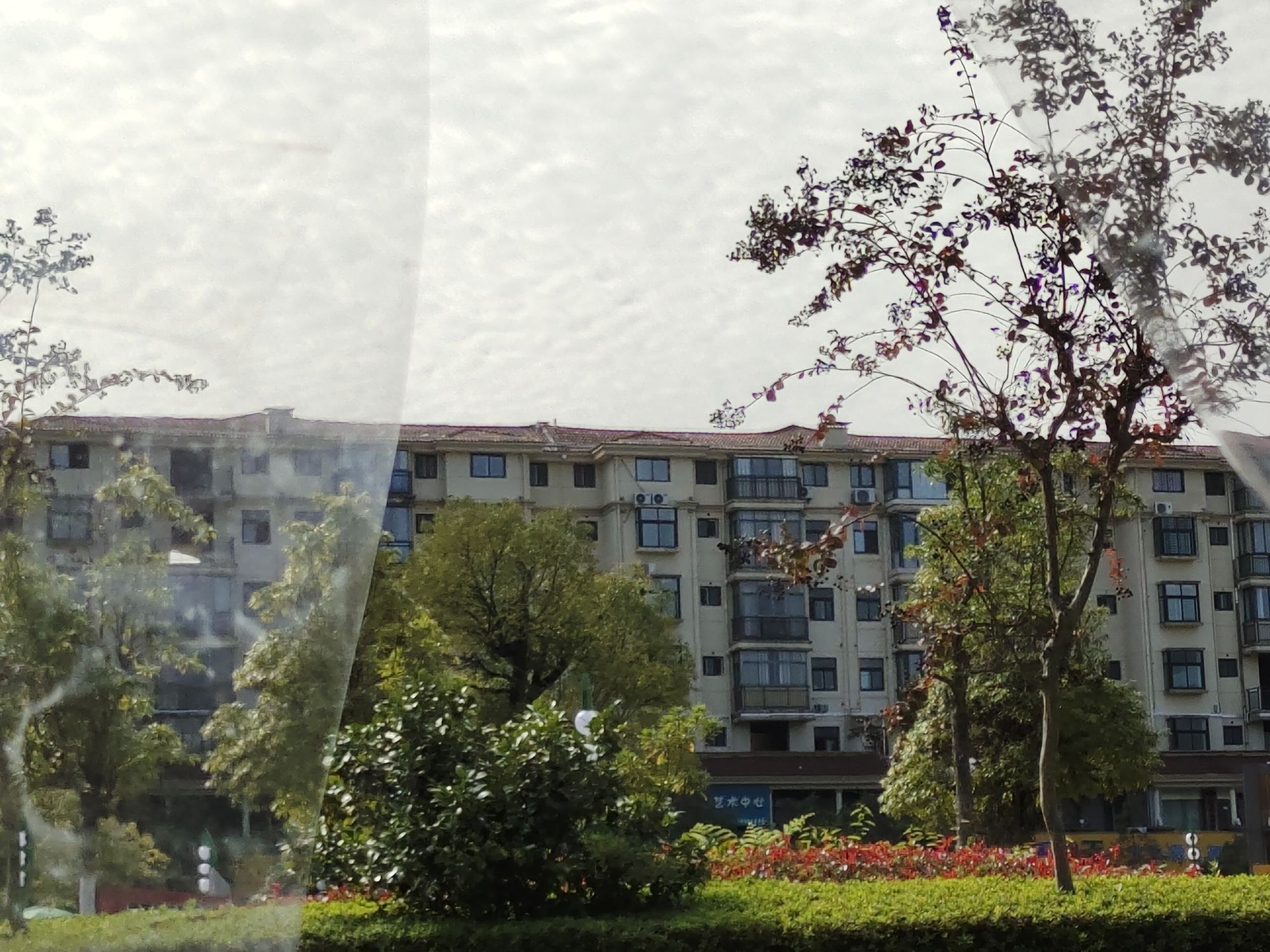 东门文化广场旅行图片 2