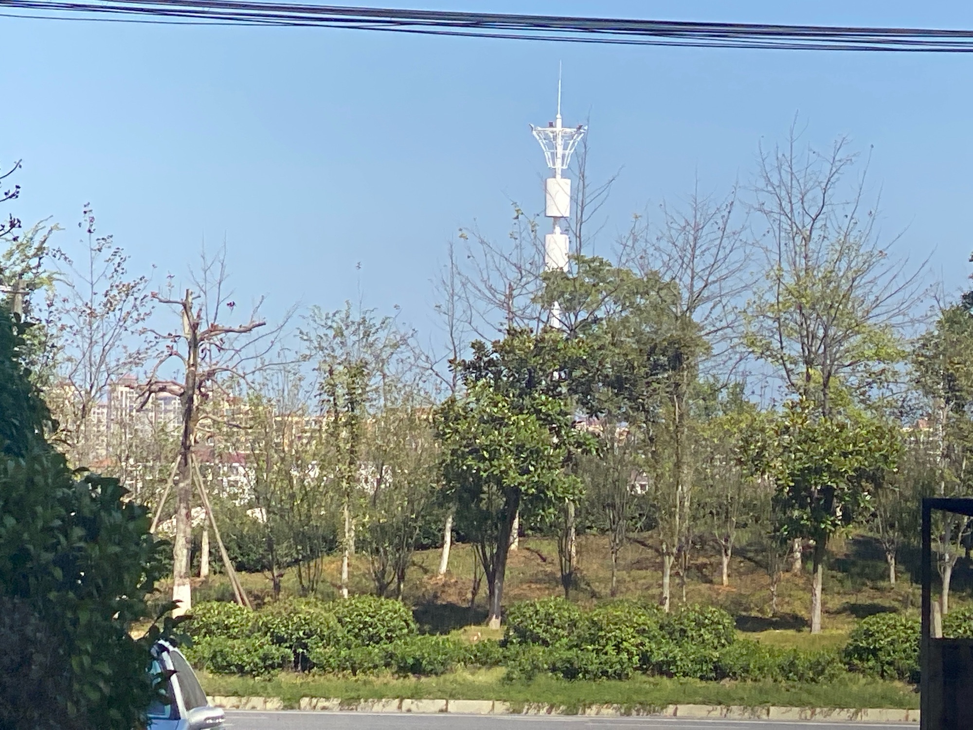 龙湖公园旅行图片 2