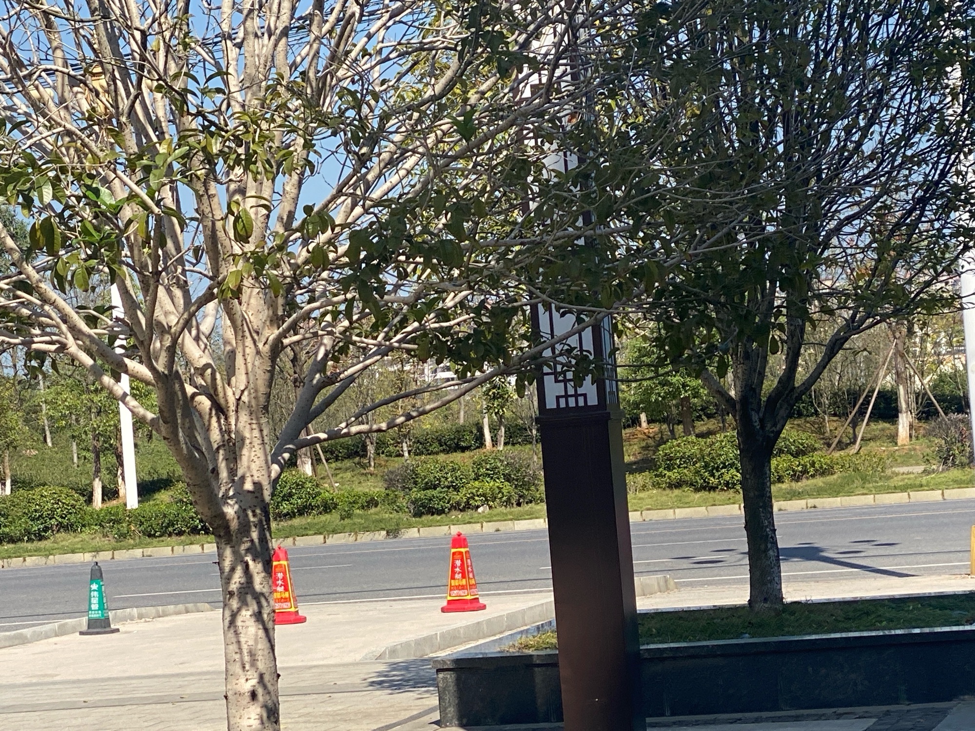 龙湖公园旅行图片 3