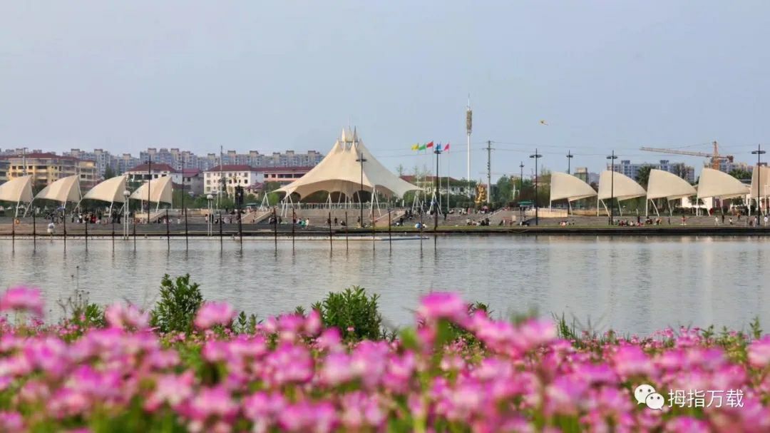 龙湖公园旅行图片 2