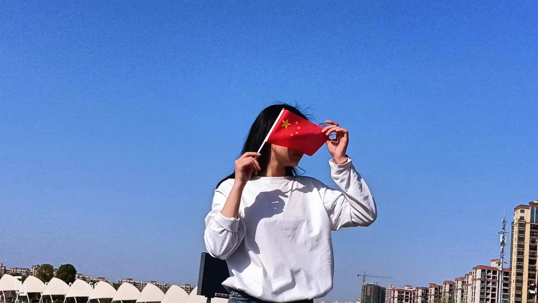 龙湖公园旅行图片 1