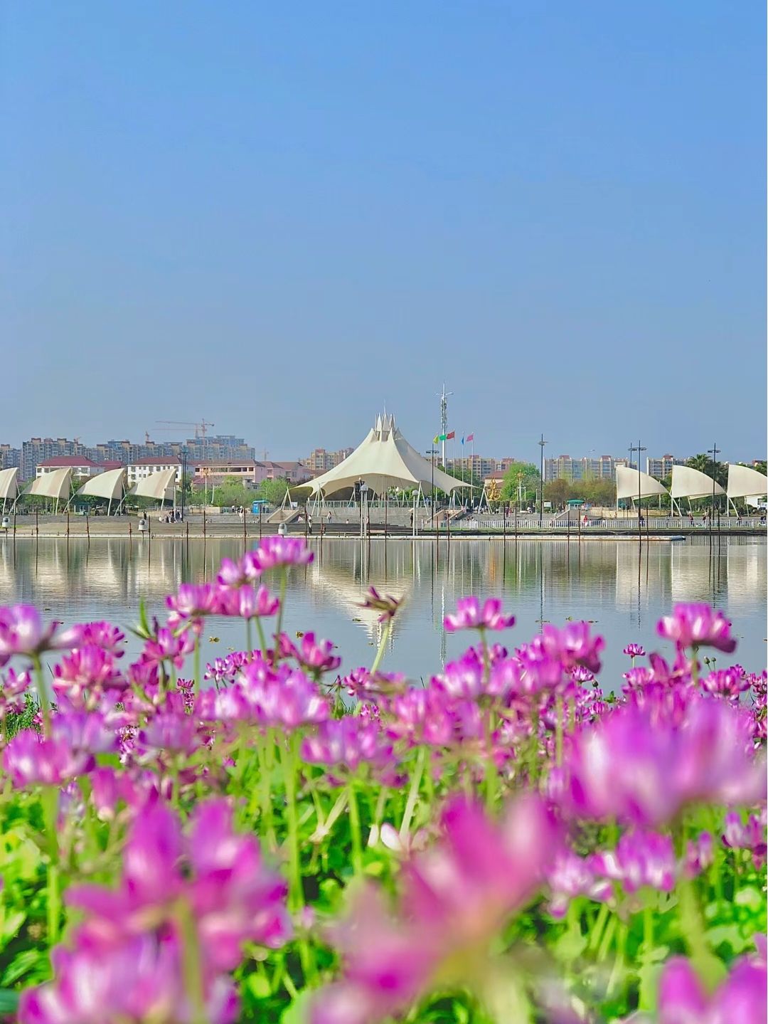 龙湖公园旅行图片 1