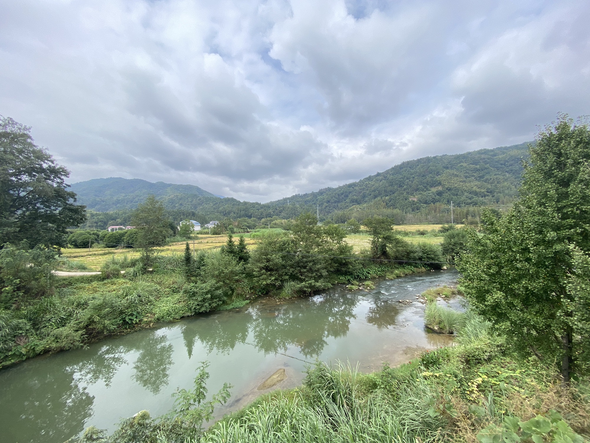 青云塔旅行图片 3