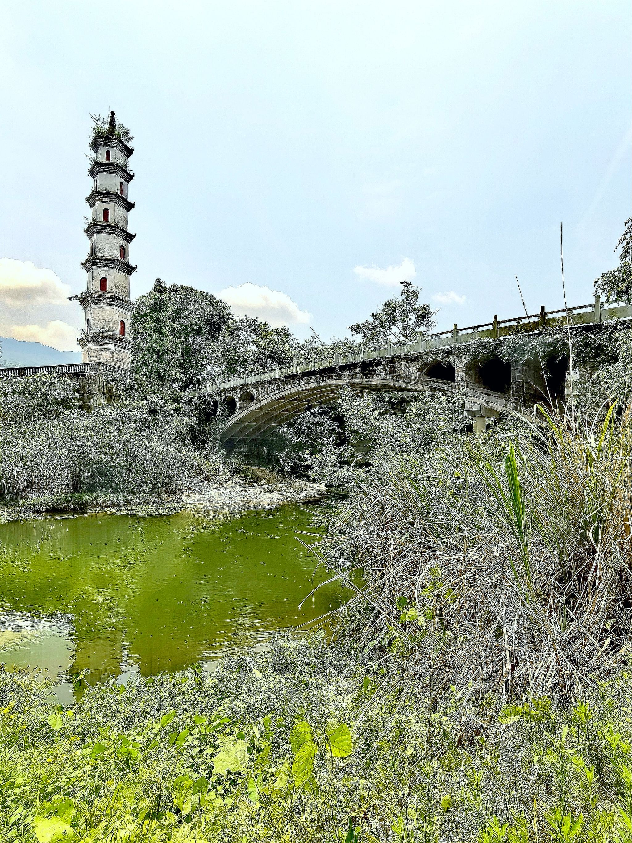 青云塔旅行图片 1