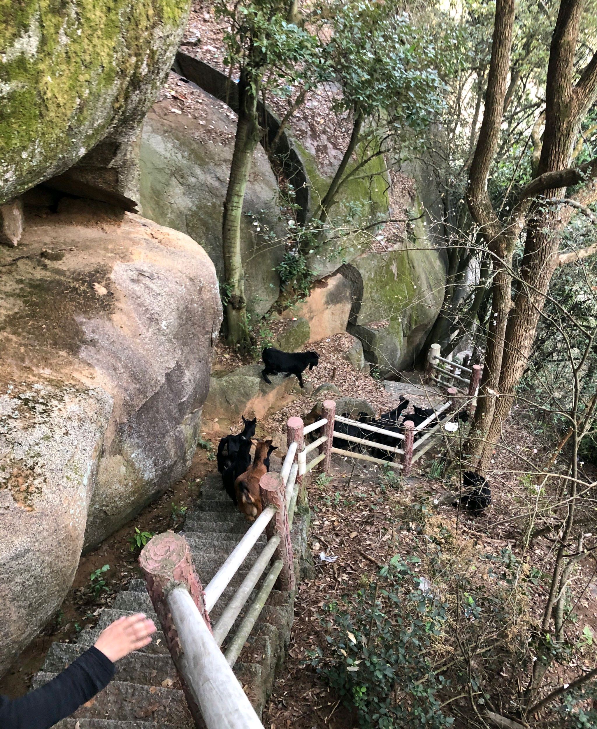 八百洞天风景区旅行图片 2