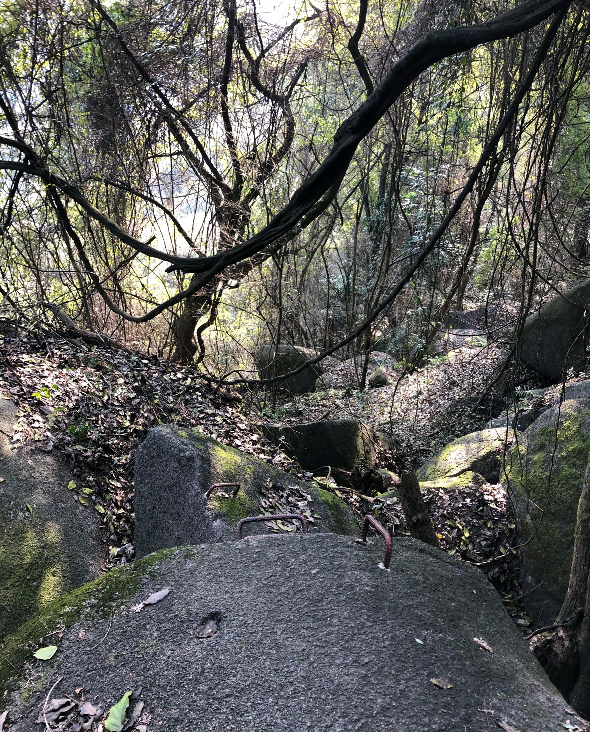 八百洞天风景区旅行图片 3