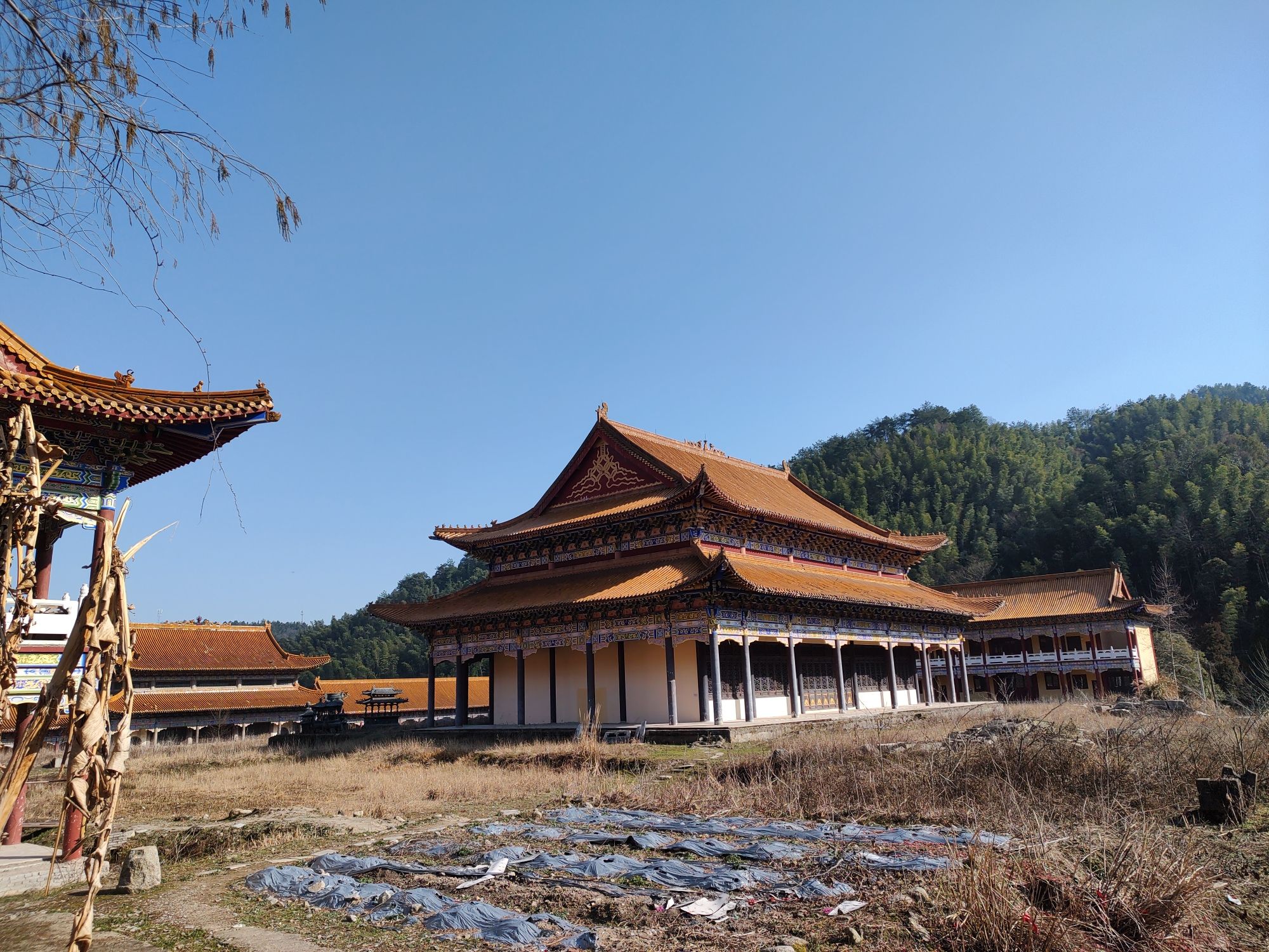 黄檗山旅行图片 2