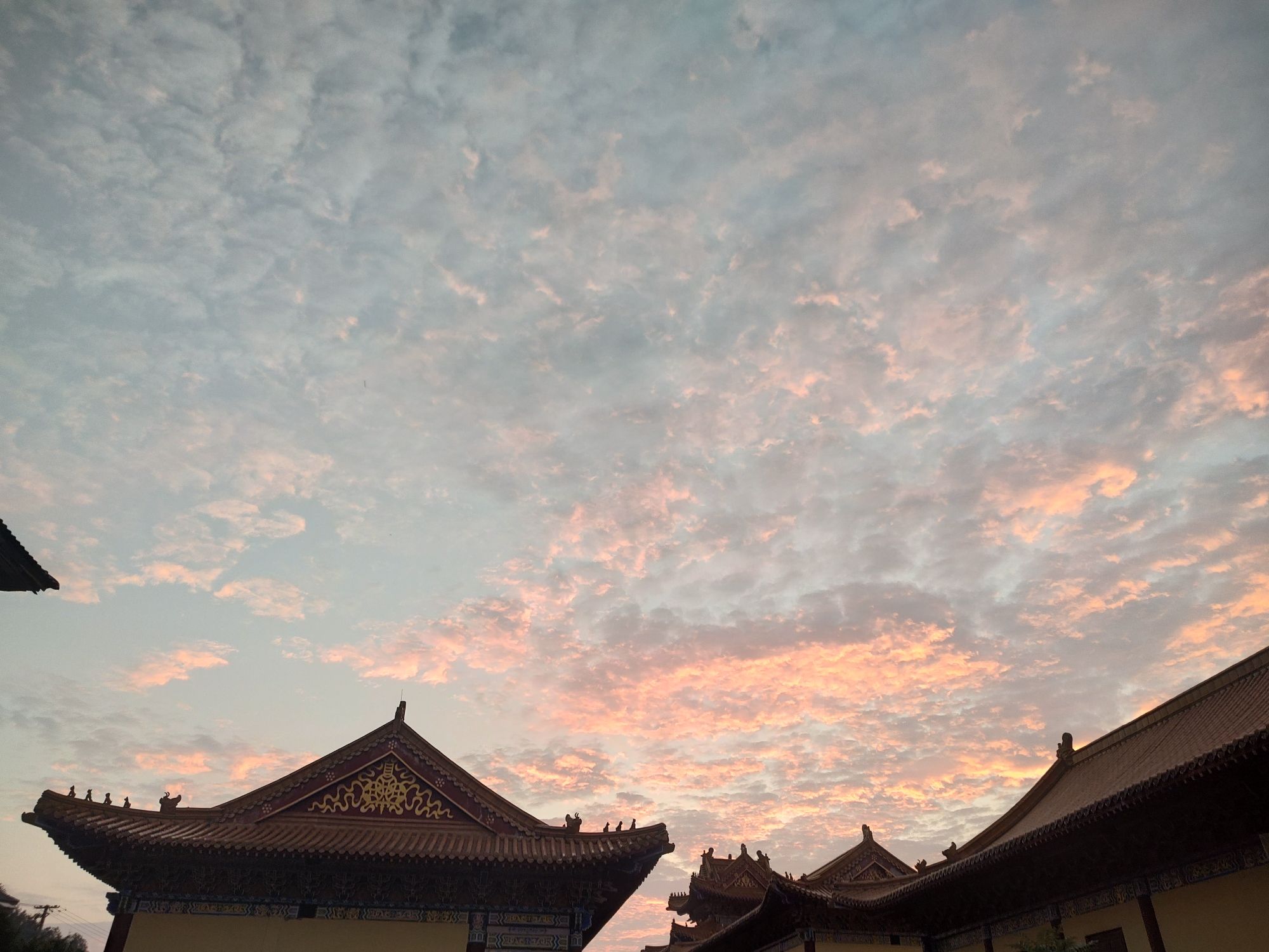 黄檗山旅行图片 1