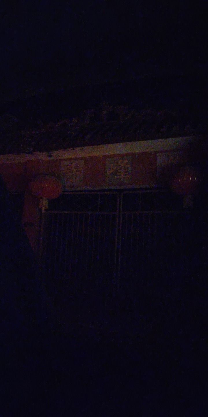 上高县九峰森林公园旅行图片 3