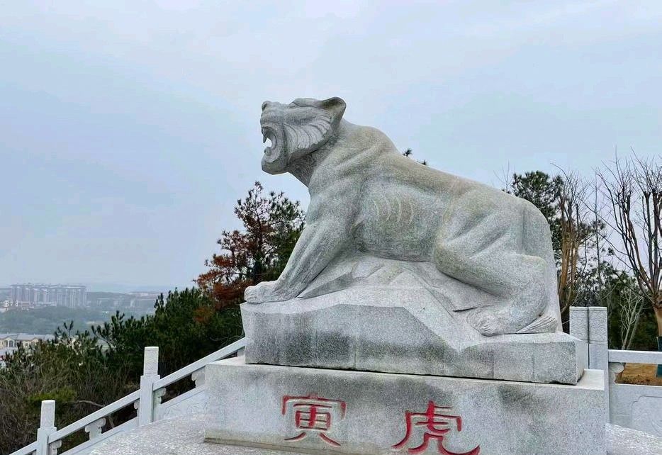 八景公园旅行图片 2