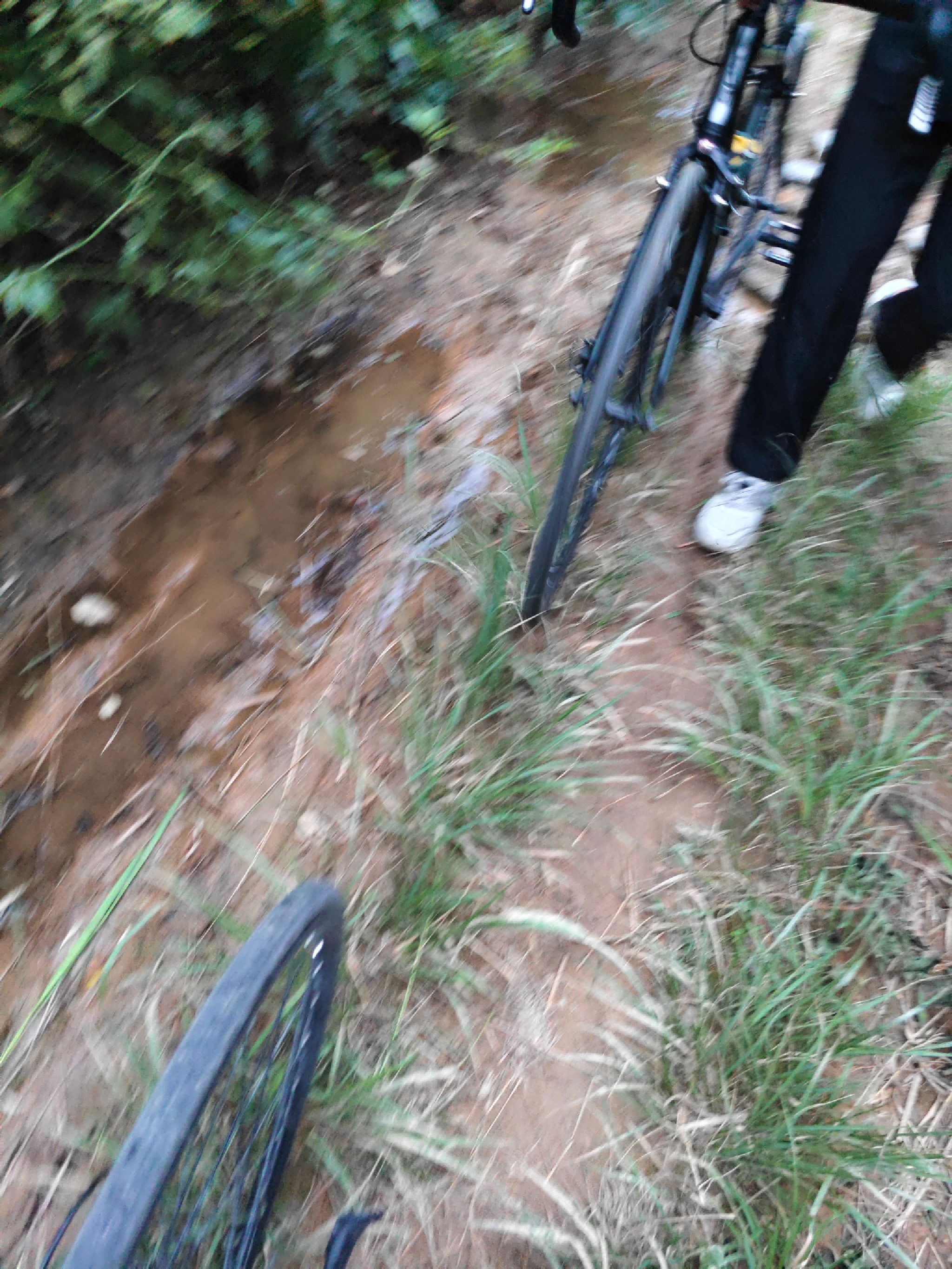 镜山森林公园旅行图片 1