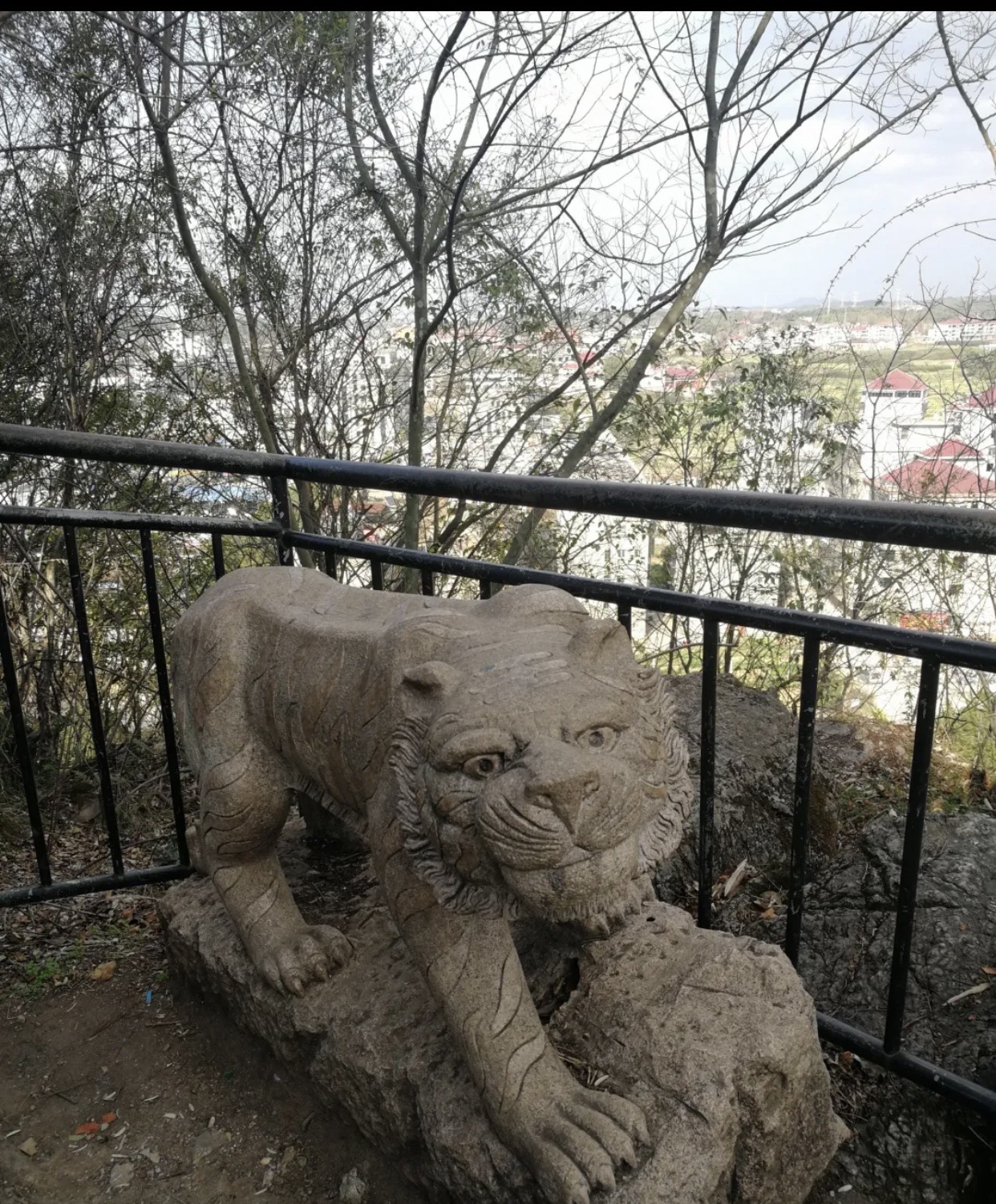 凤凰山公园旅行图片 3