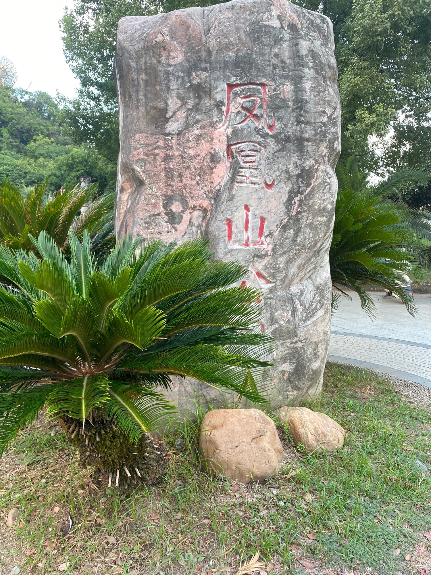 凤凰山公园旅行图片 1